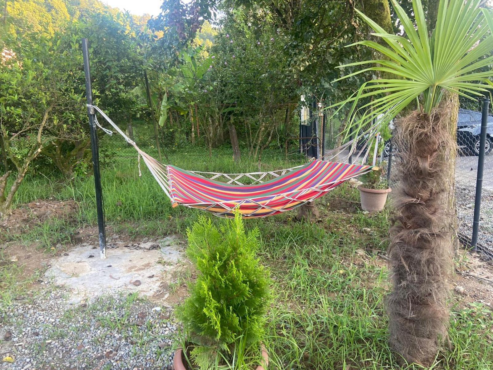 Cottage Lemons In Gonio view 2