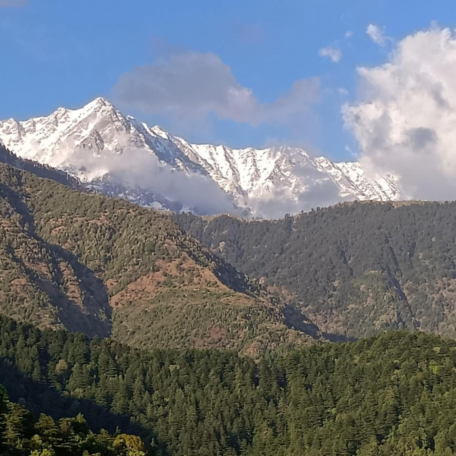 Swaran bnb near Mcleodganj view 2