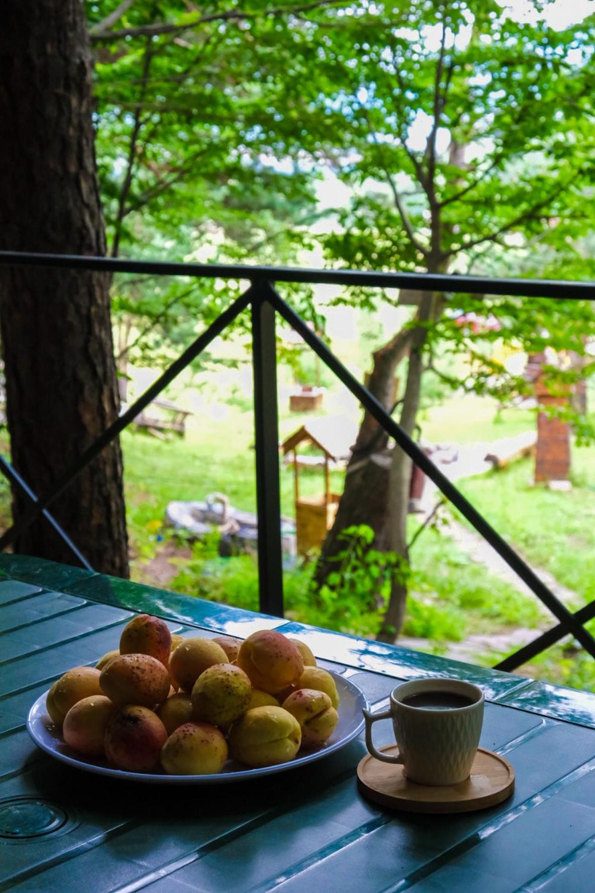Eco Park Resort in Stepanavan Dendropark
