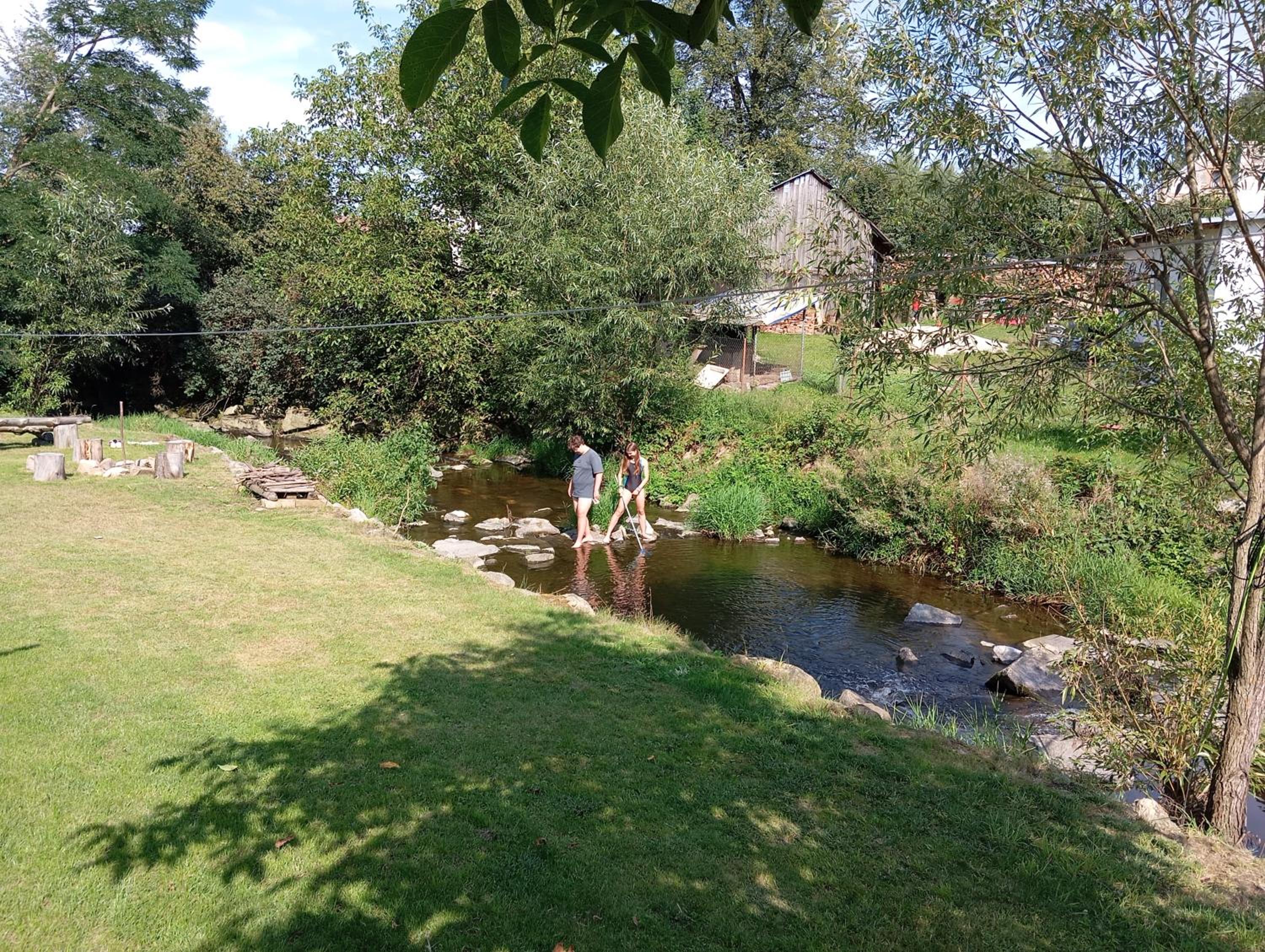 Maciejówka
