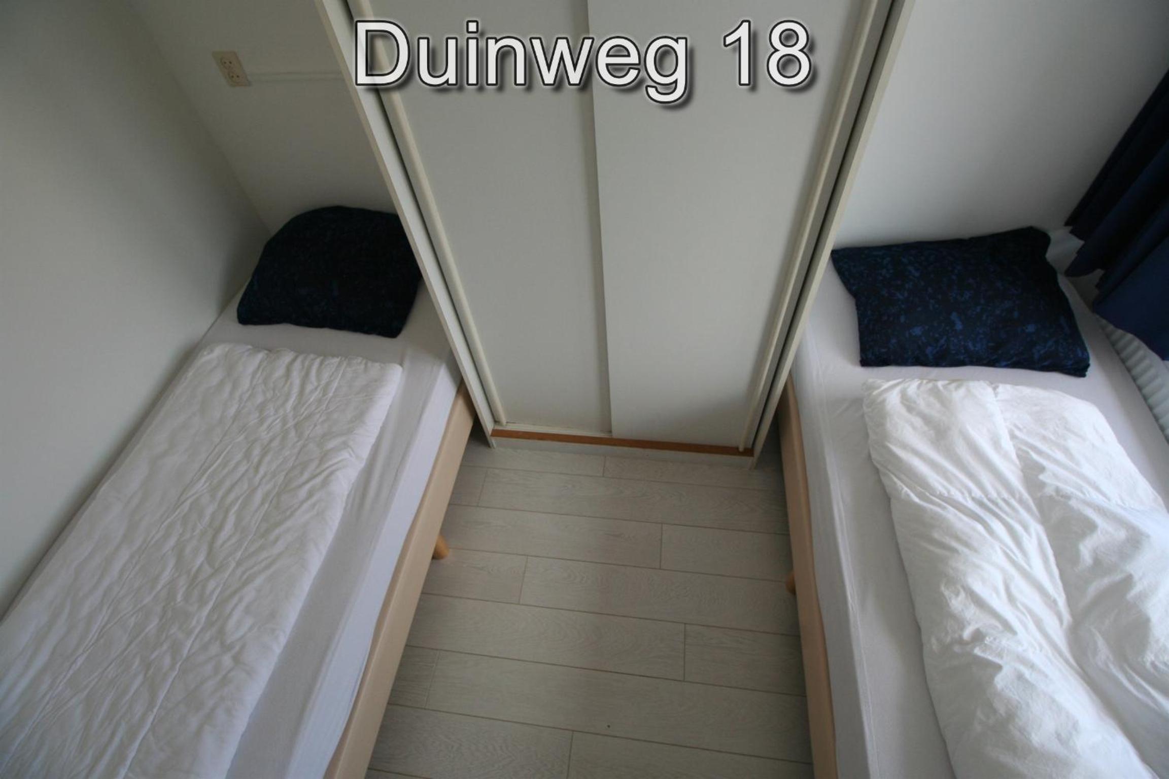 Photo 250
