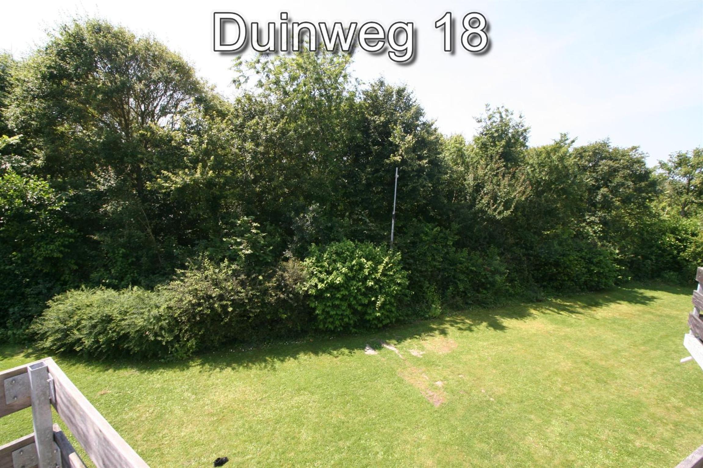 Photo 254