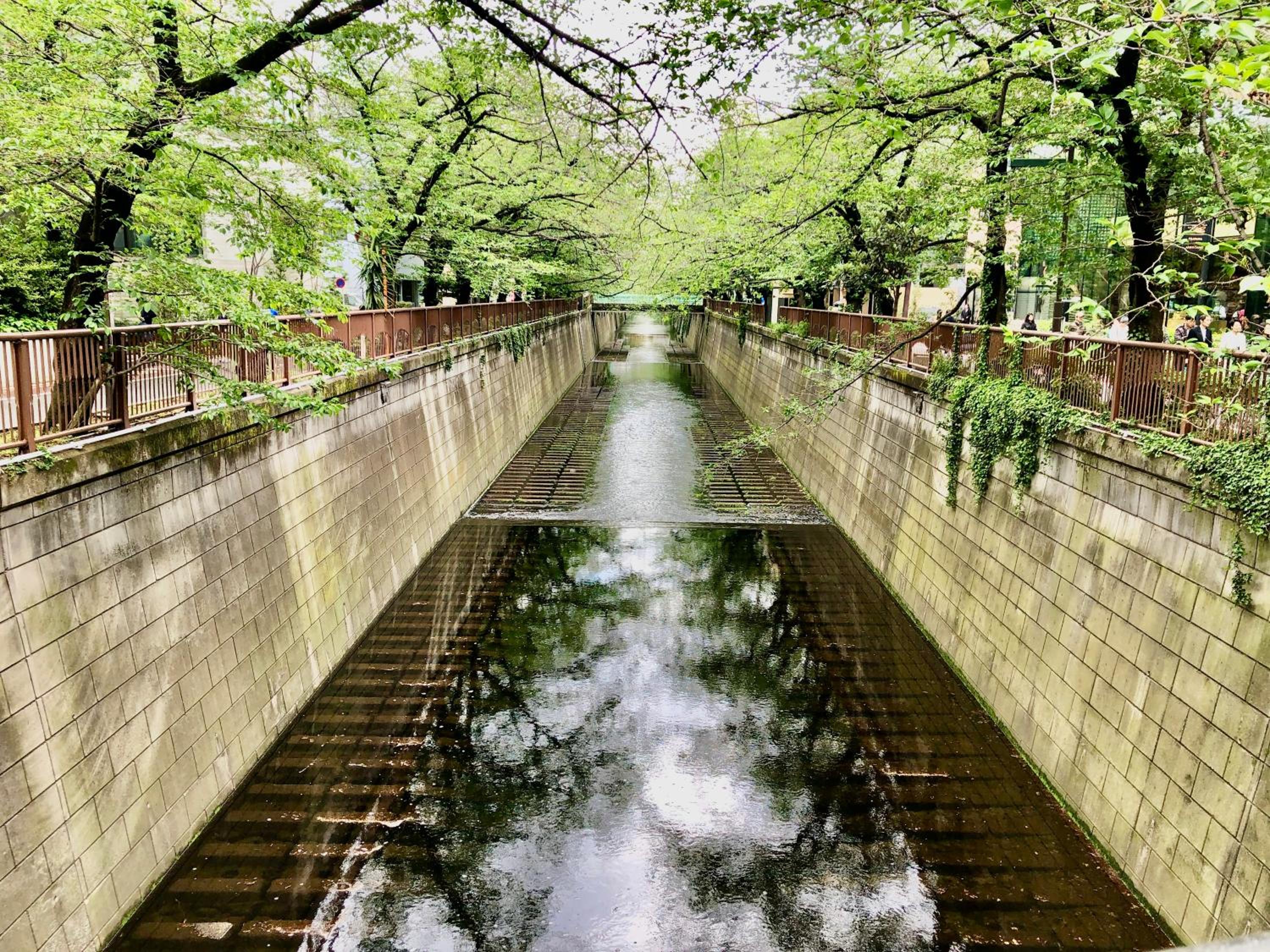 Daikanyama 401 - the Animate Sanctuary