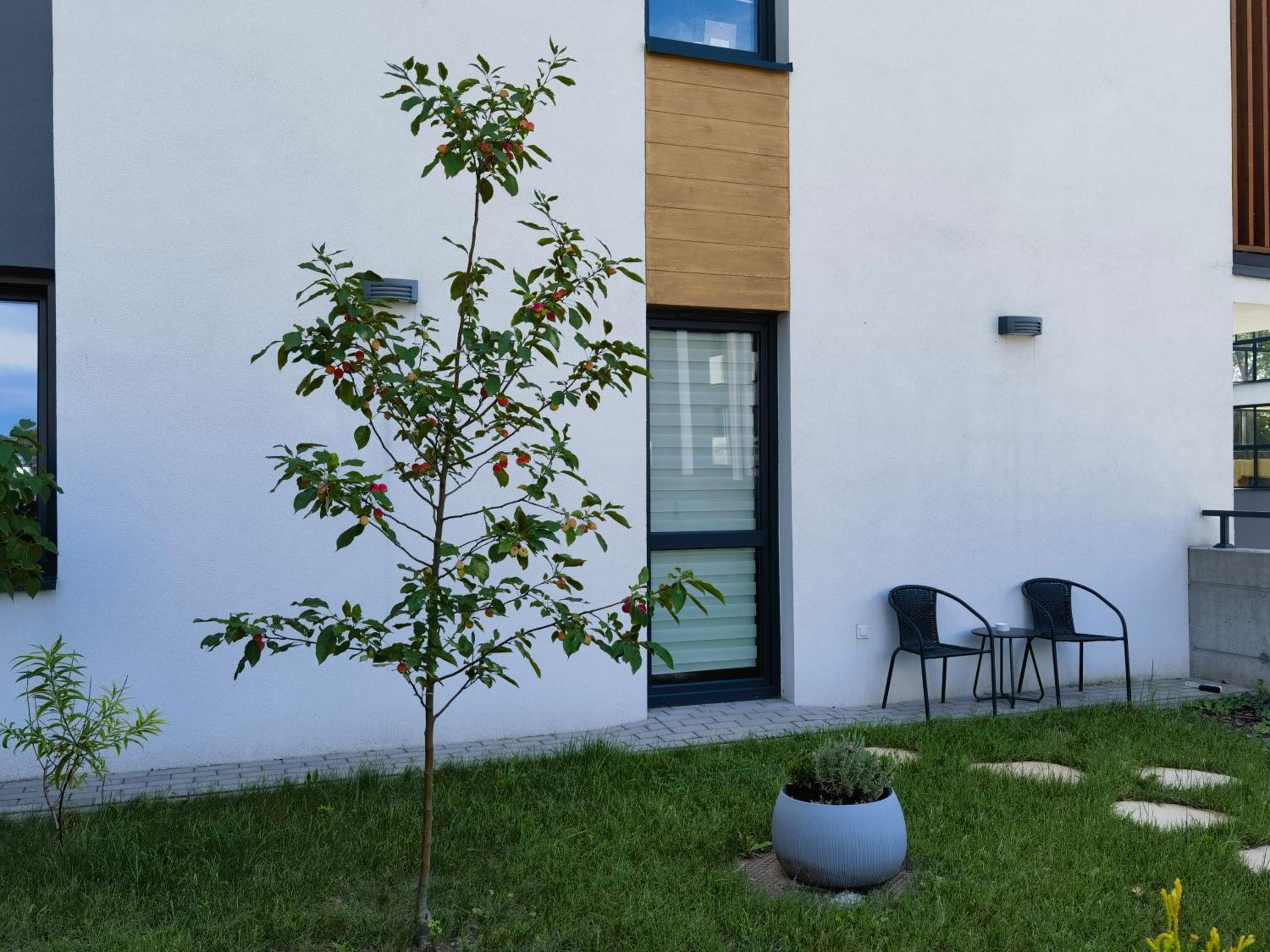 Apartament Sosnowa, photo 9