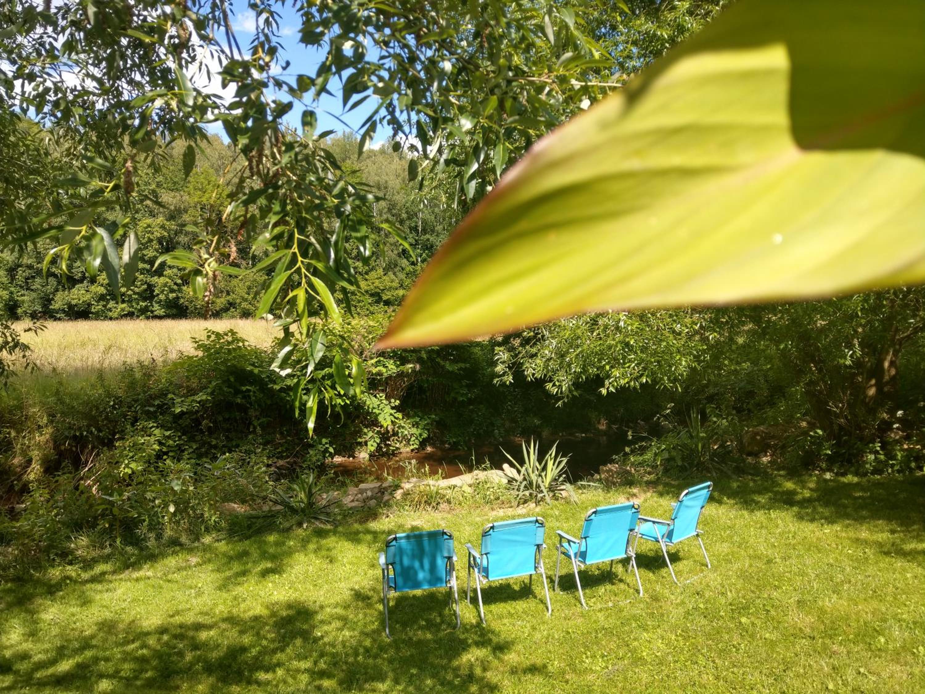 Wald-Apartment