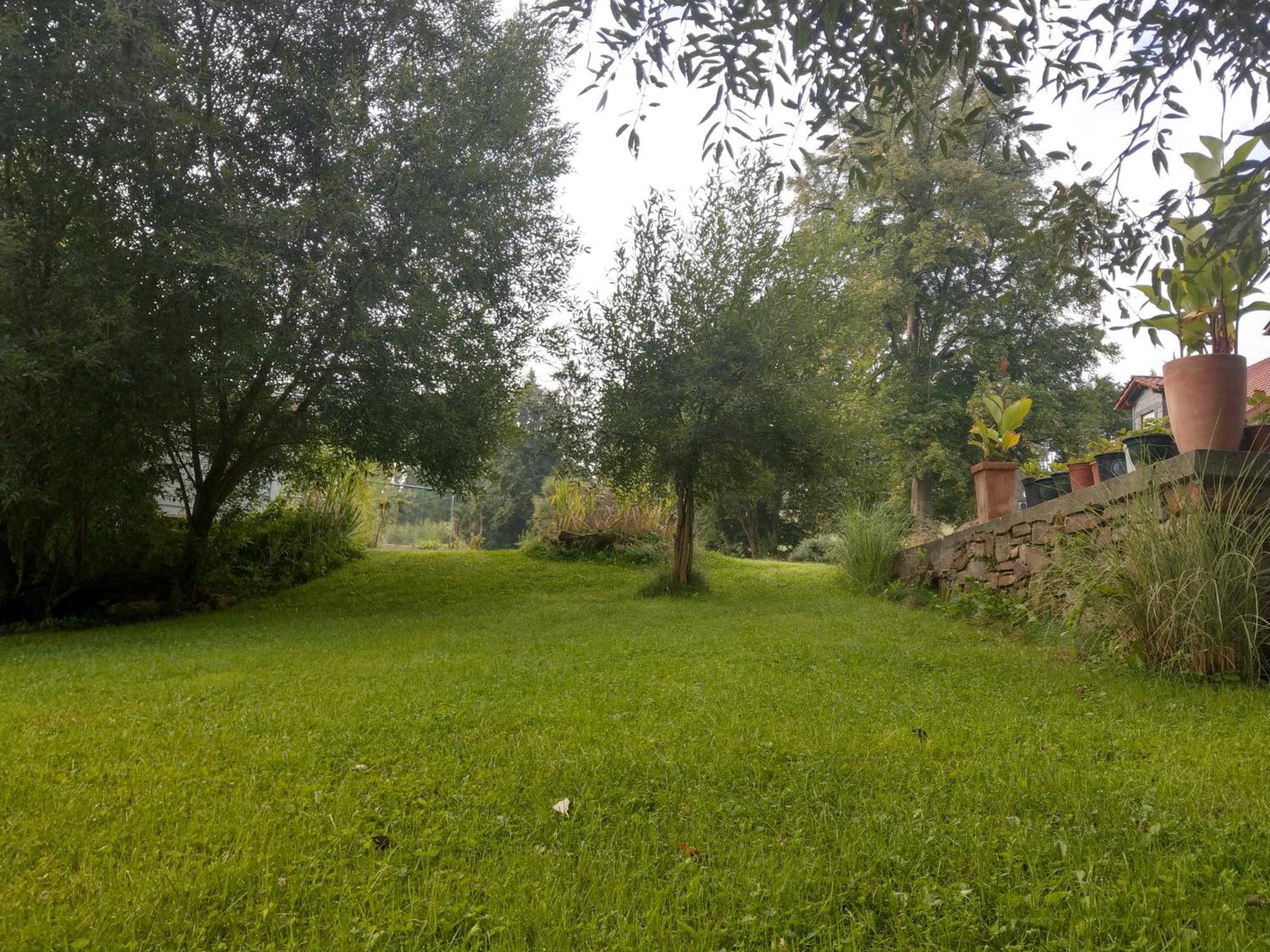 Wald-Apartment