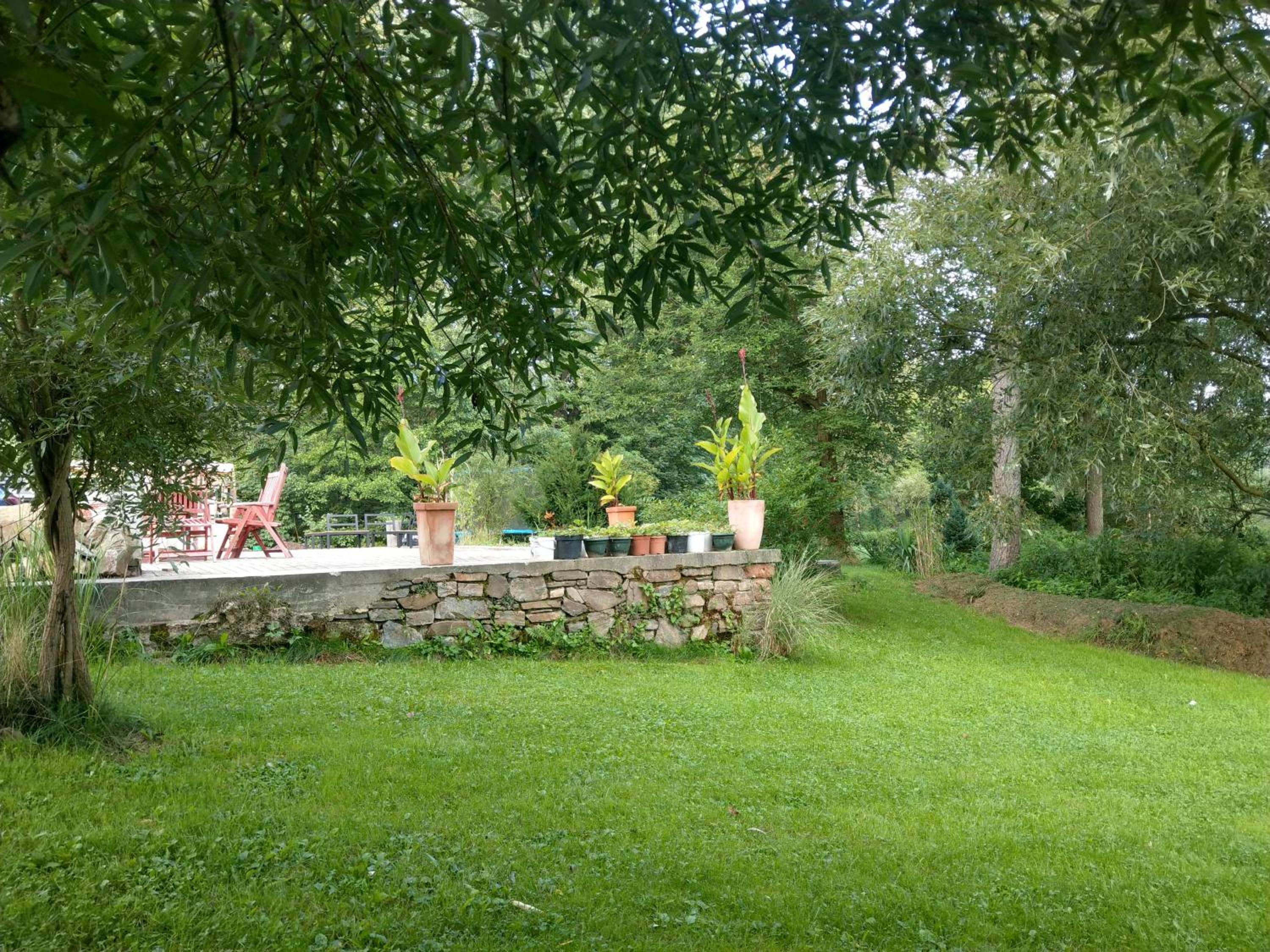 Wald-Apartment