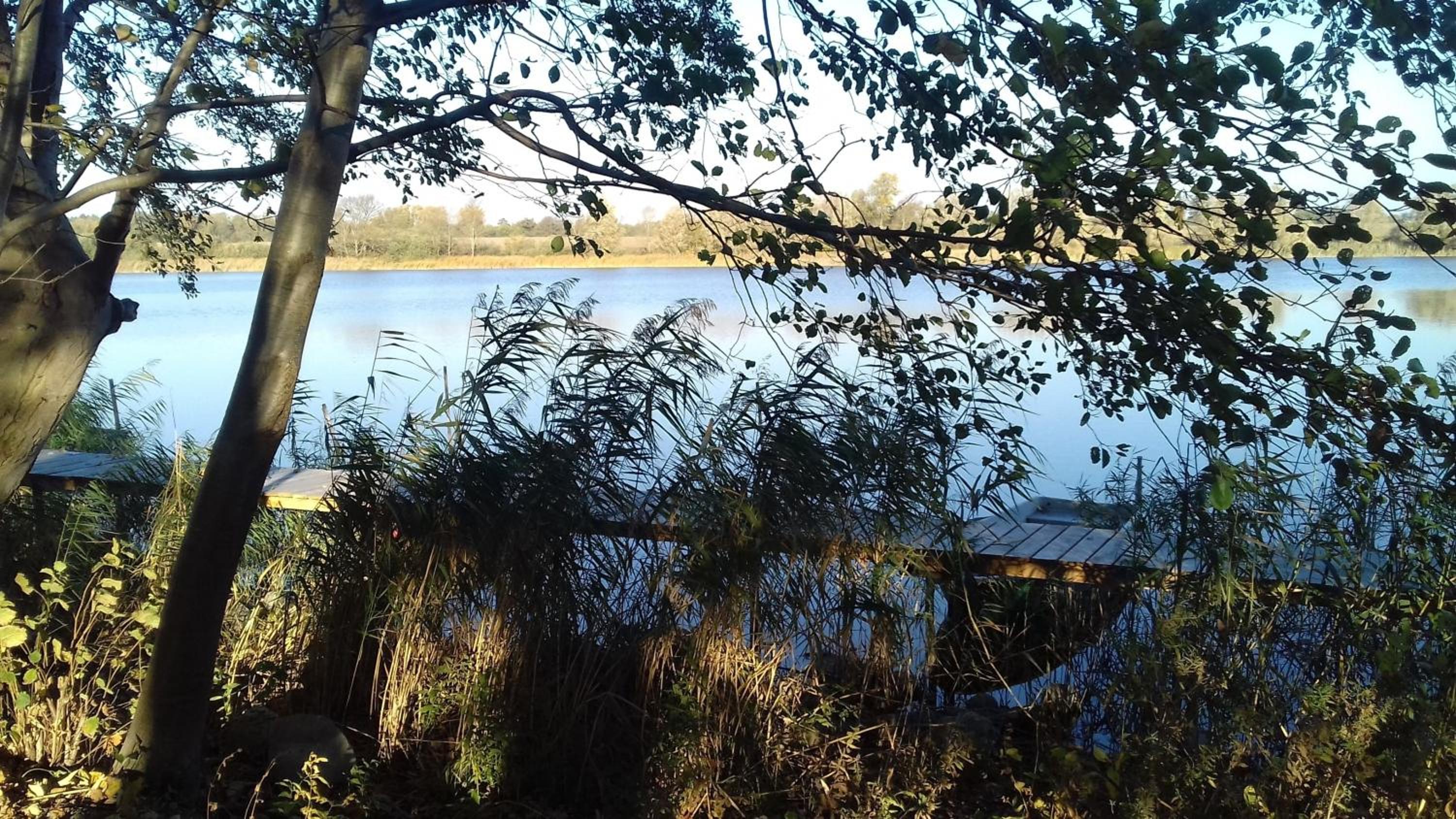 Bungalow am See