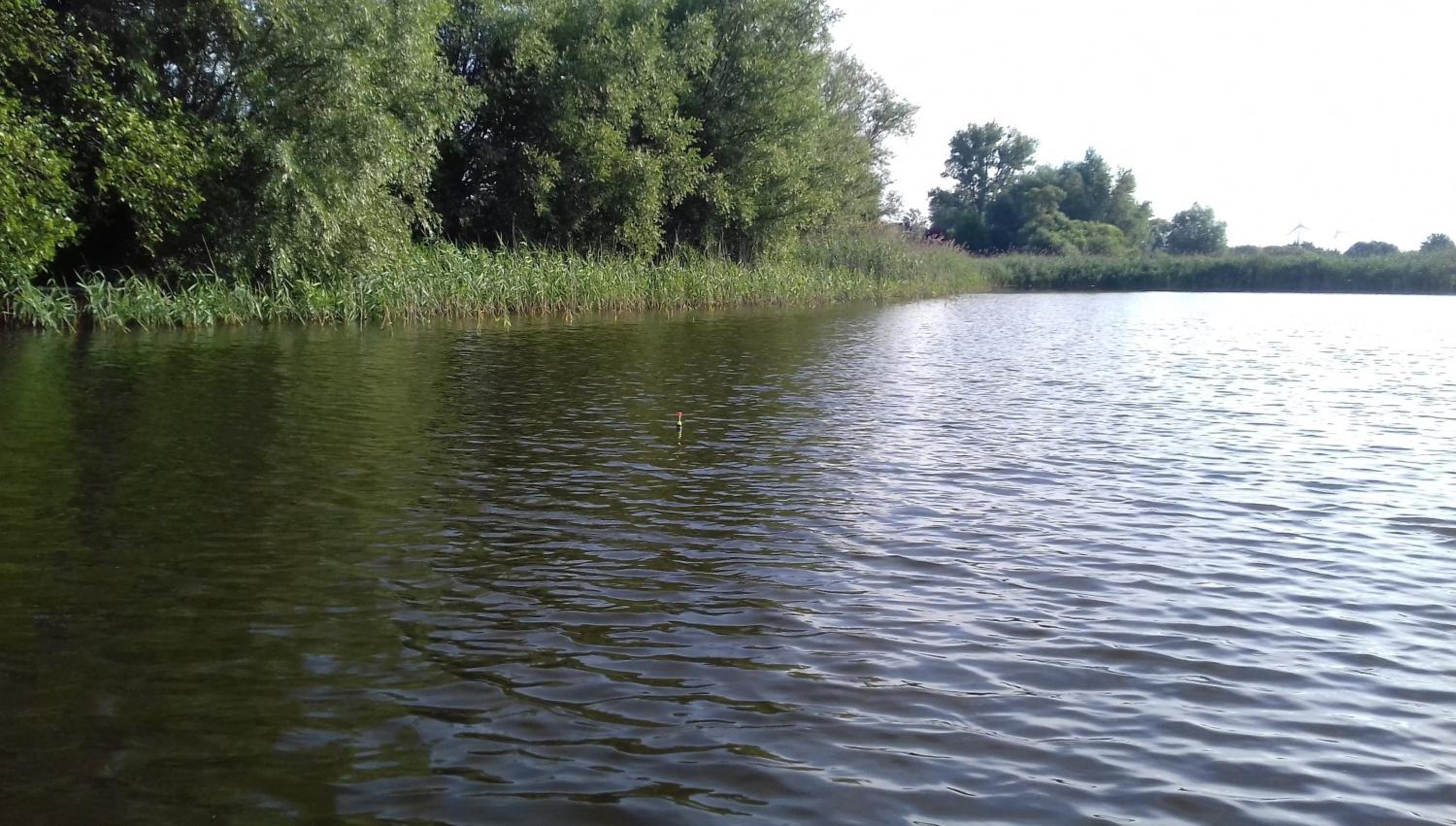 Bungalow am See