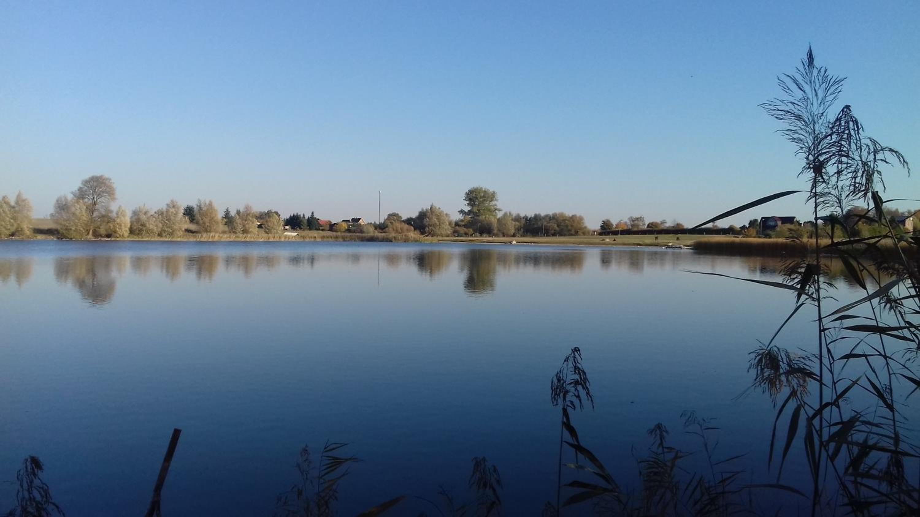 Bungalow am See
