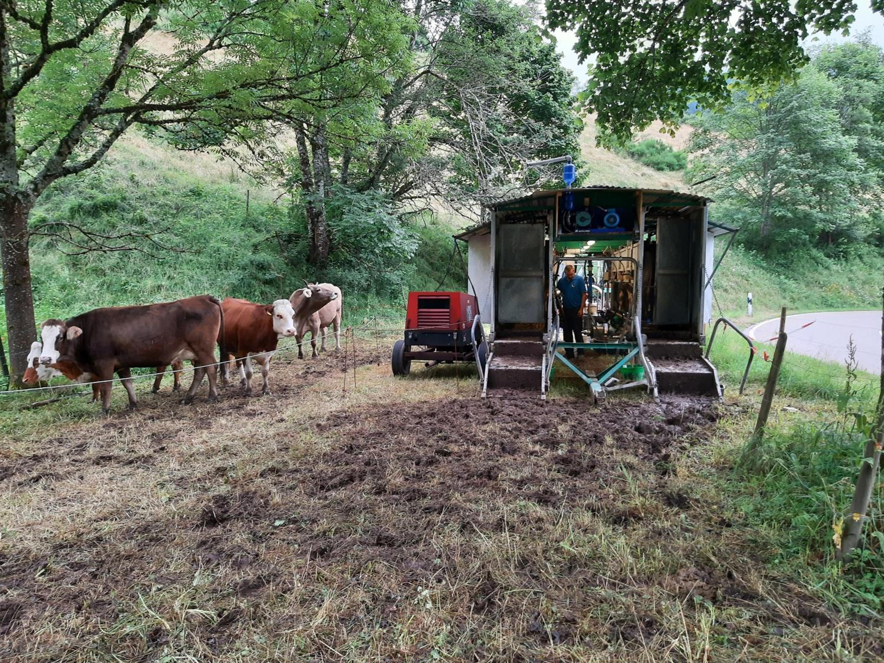 Ferienwohnung am Belchen