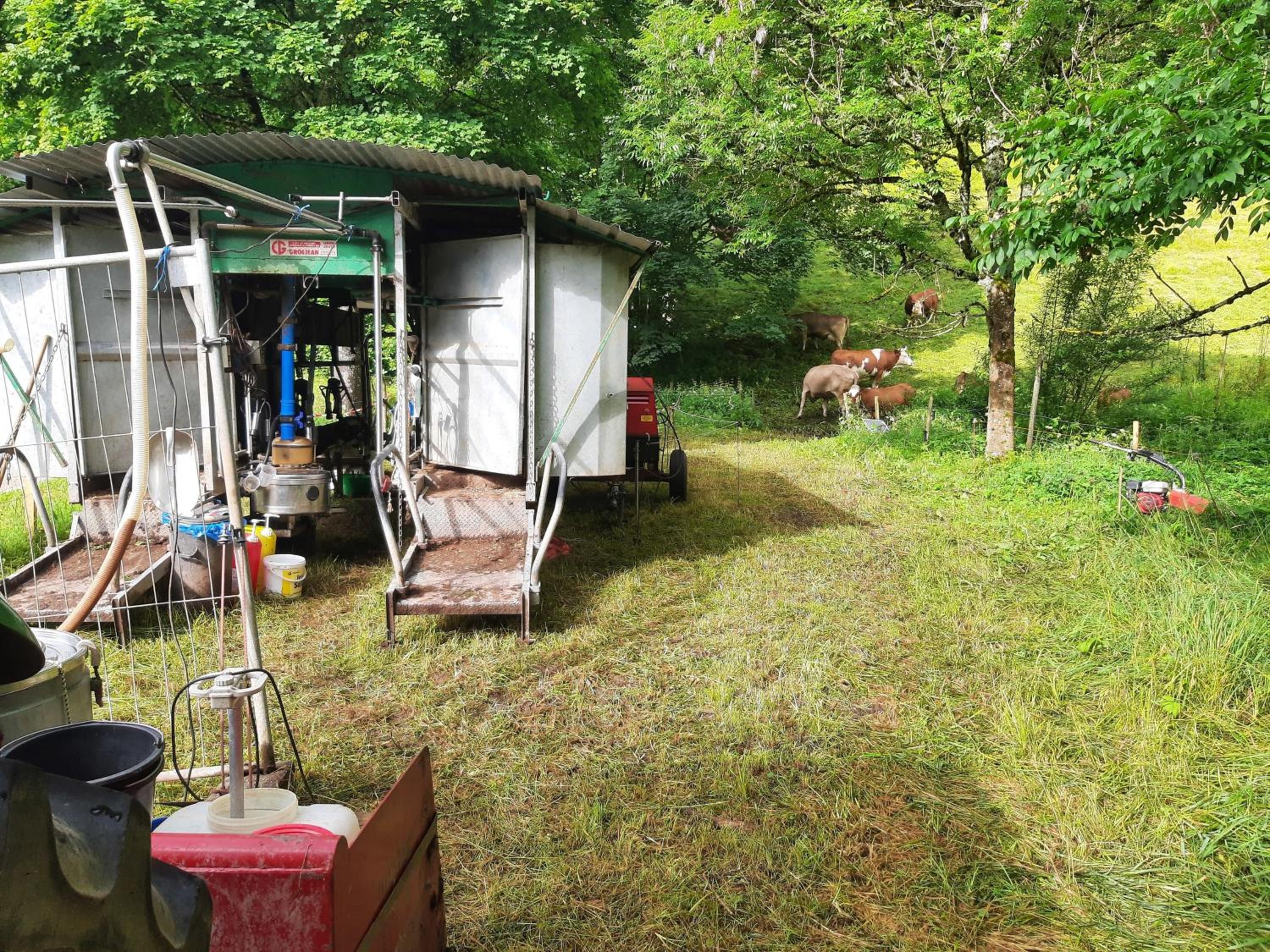 Ferienwohnung am Belchen