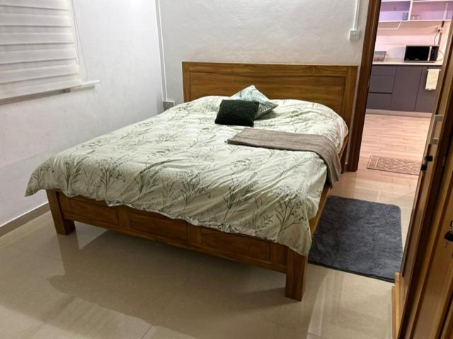 Spacious 3 Bedrooms Flat in Port Louis view 5