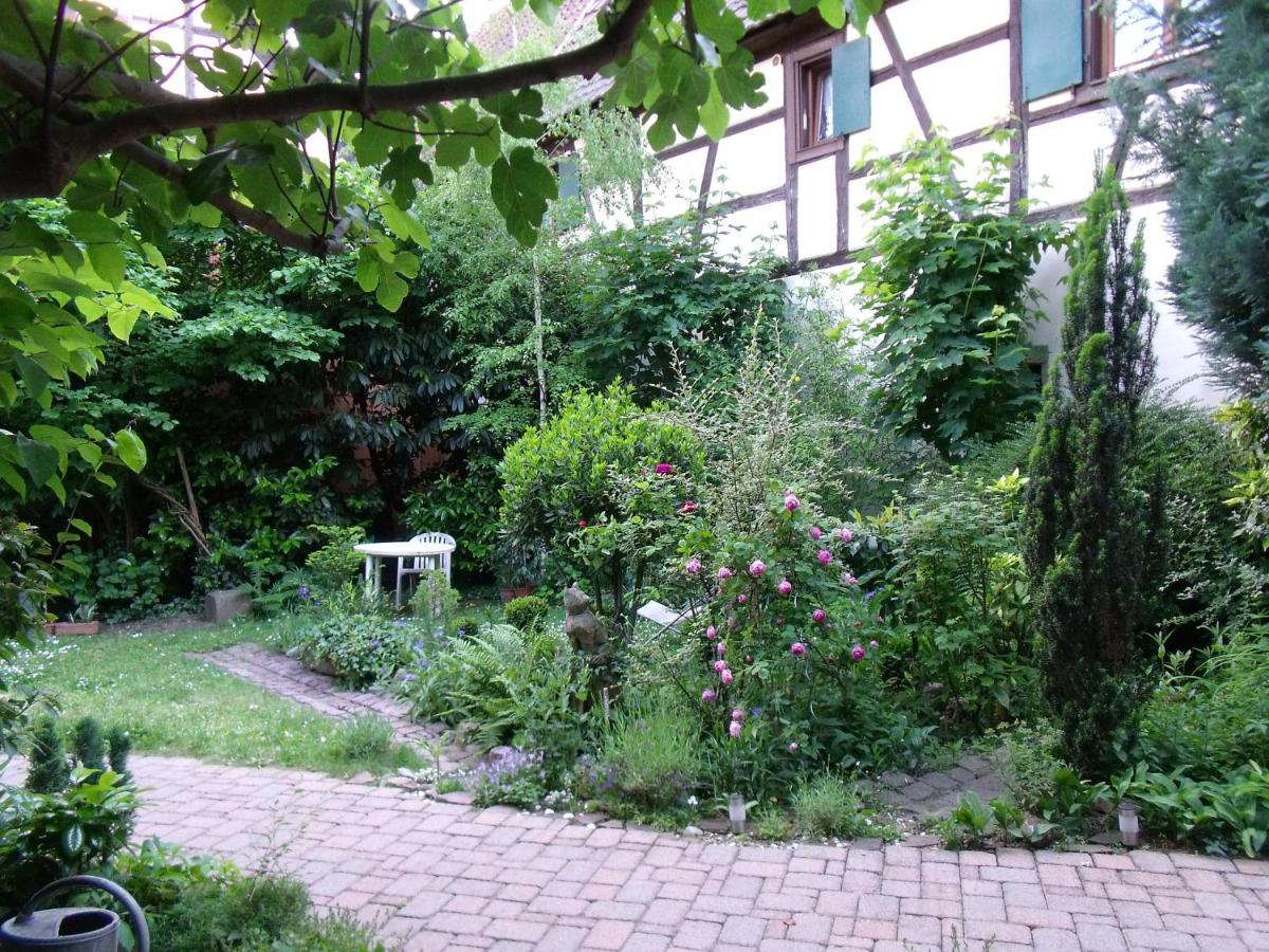 Apt. La Grenouillère De Turckheim view 5