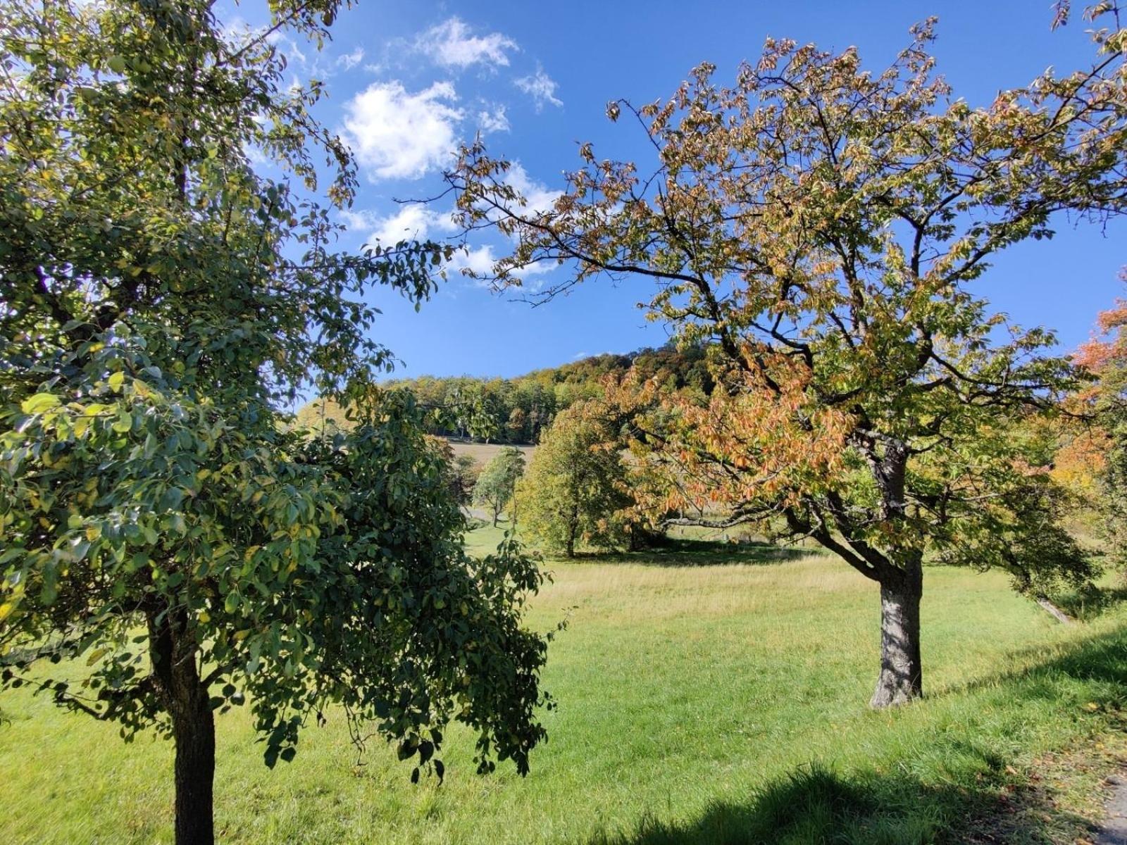Gemütliches Fachwerkhaus Hessen Thüringen