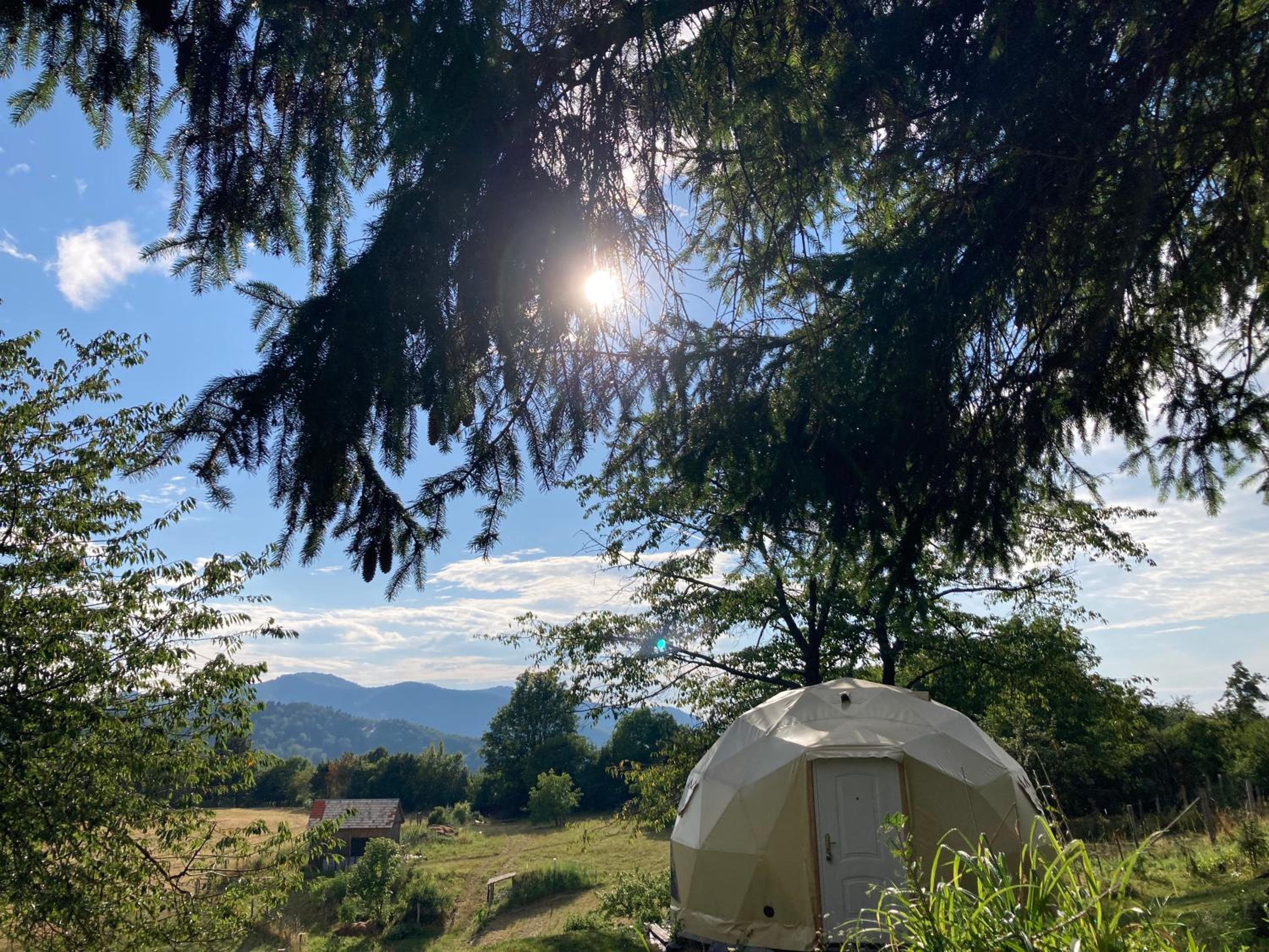 other