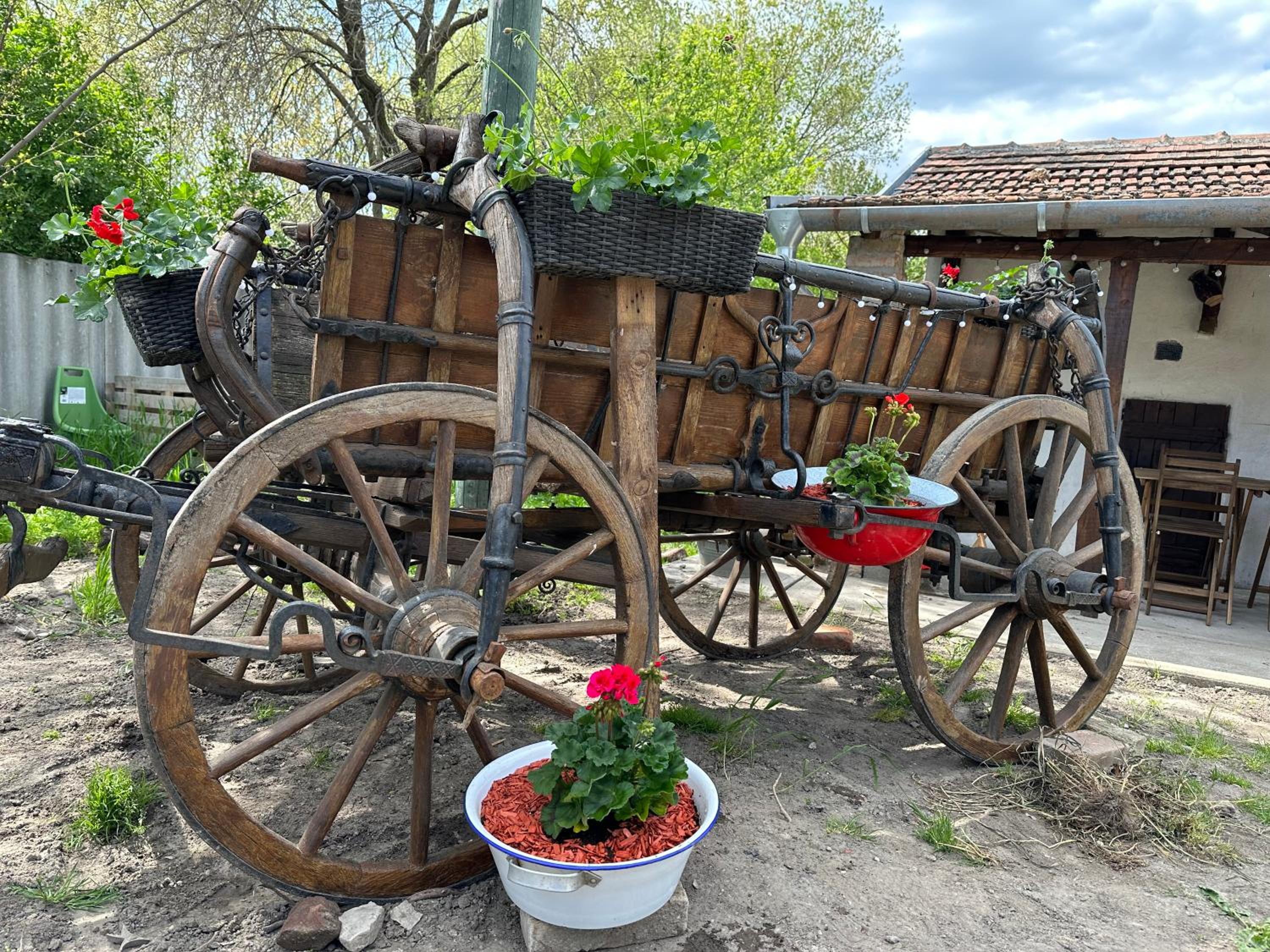Százholdas Pagony Vendégház Solt