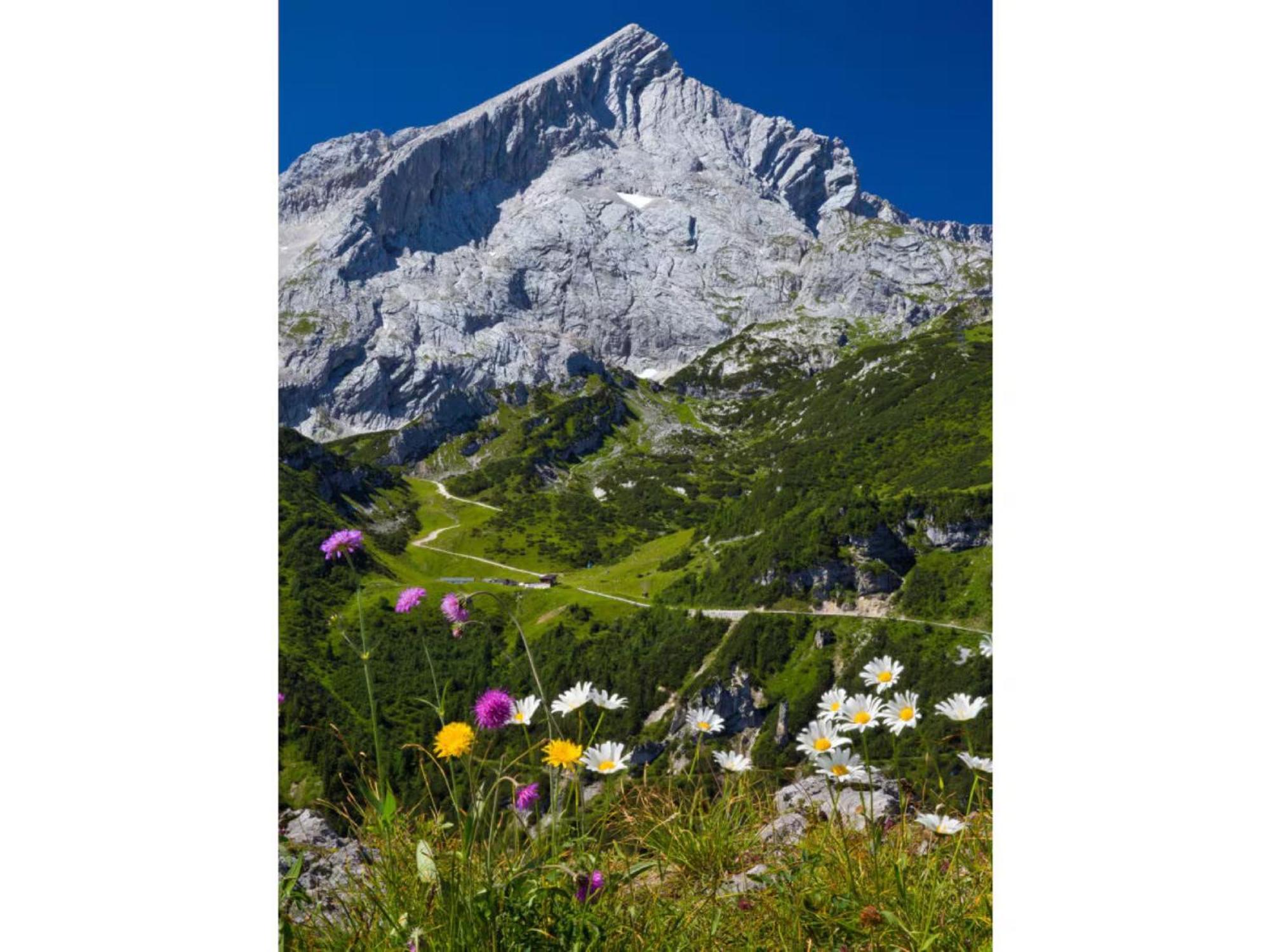 Chalet Falkenstein