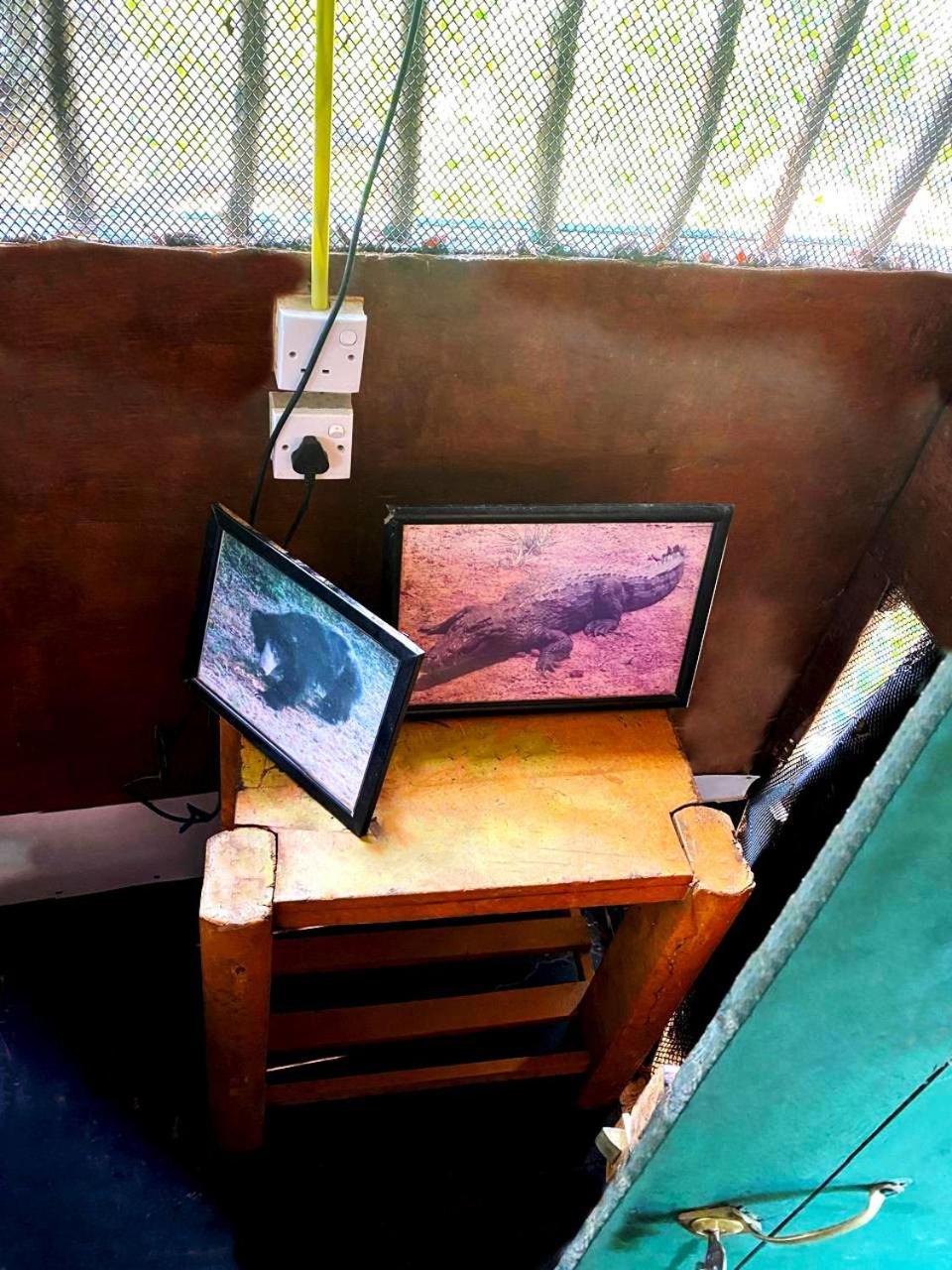 Photo 10