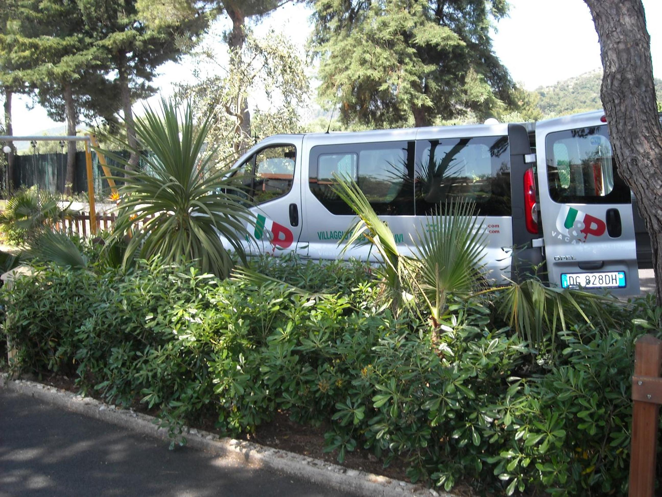 Photo 41