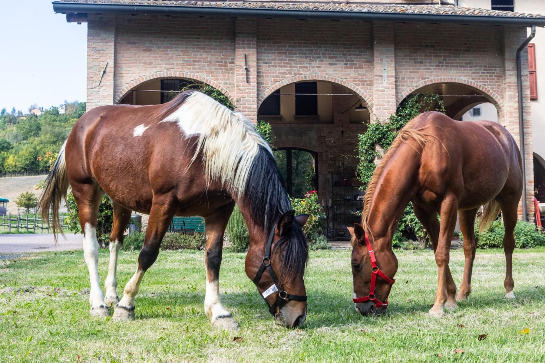 Origine Country Farm