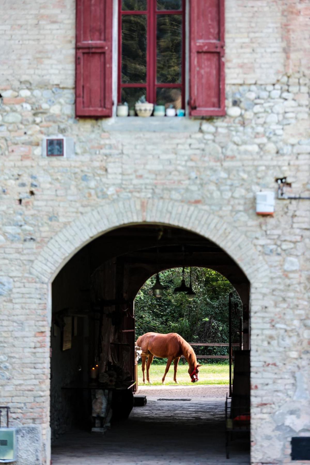 Origine Country Farm