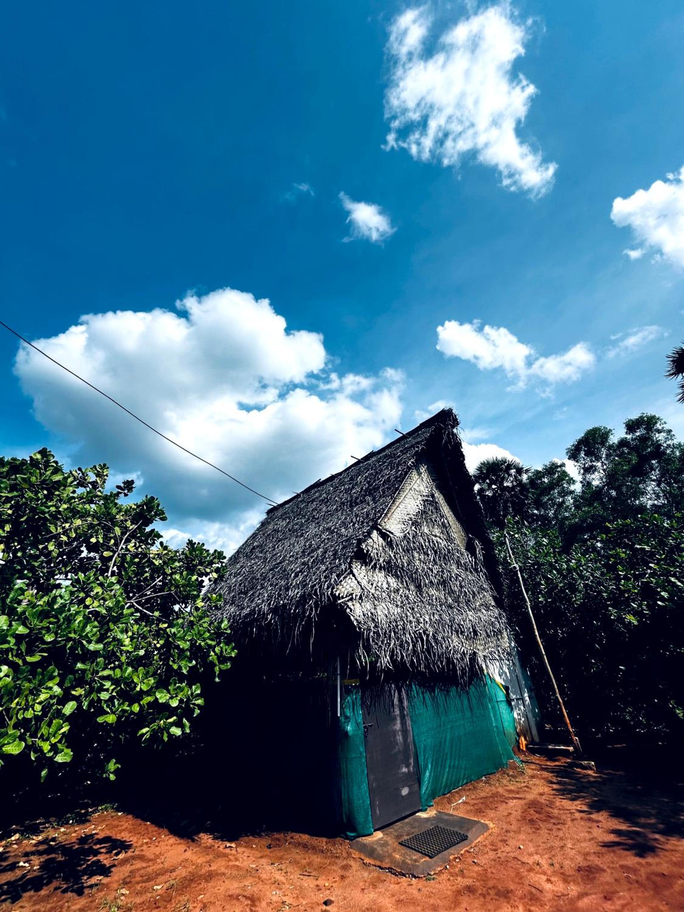 Boomerang community