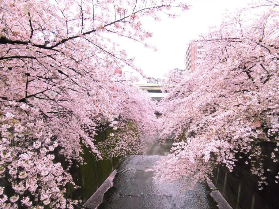 Spacious 1120feet , 3-Bedroom Apartment near Ikebukuro, 2 Minutes to Train