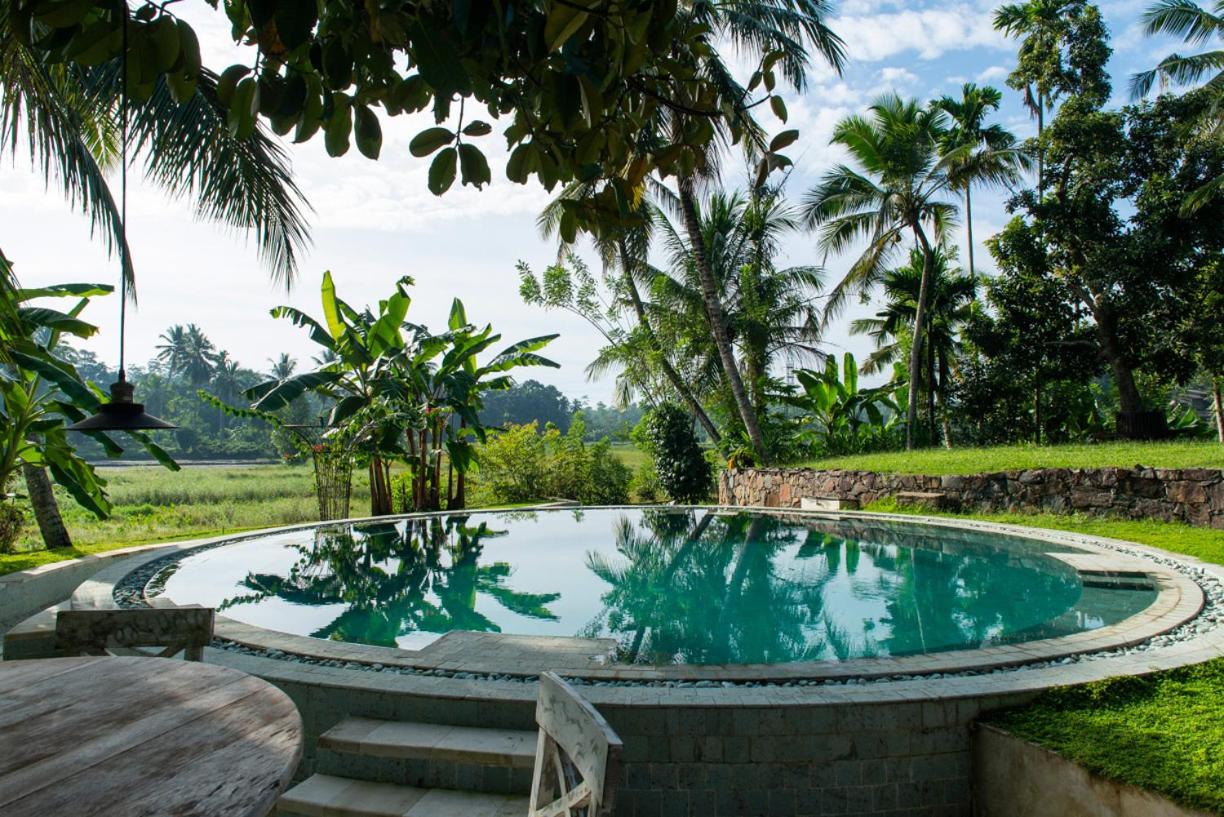 Budtt Farm view 2