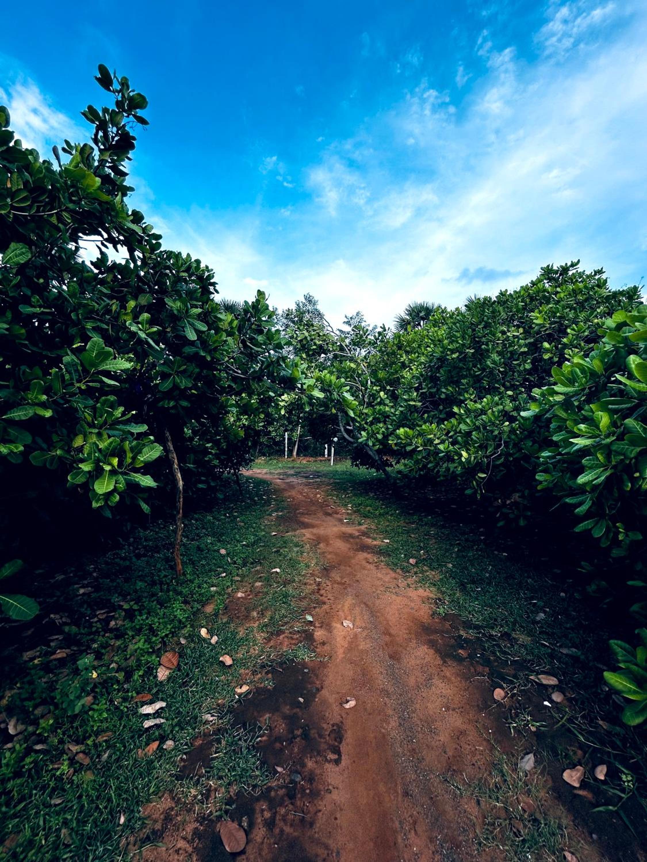Boomerang community