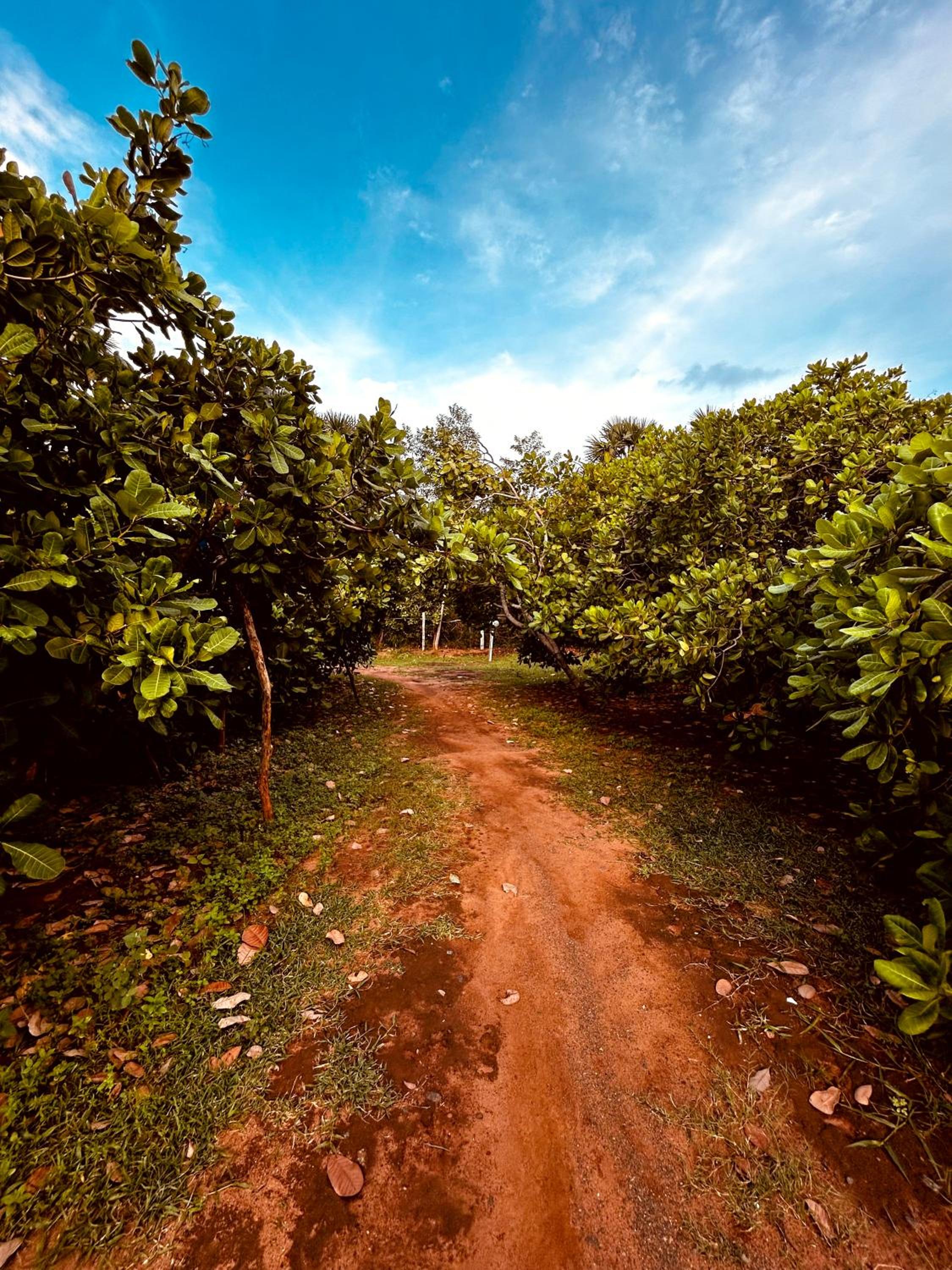 Boomerang community