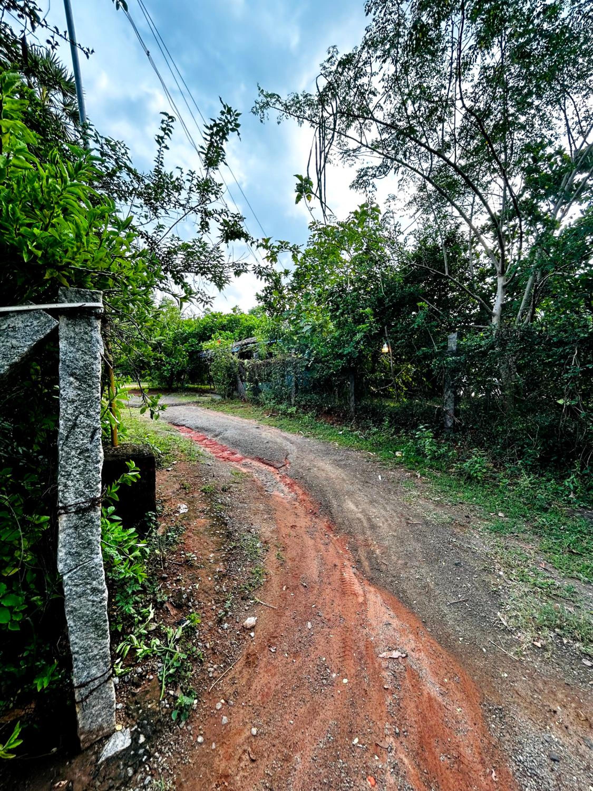 Boomerang community