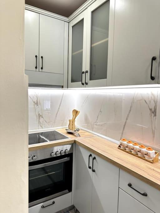 Great apartament near Lake & Blloku Area