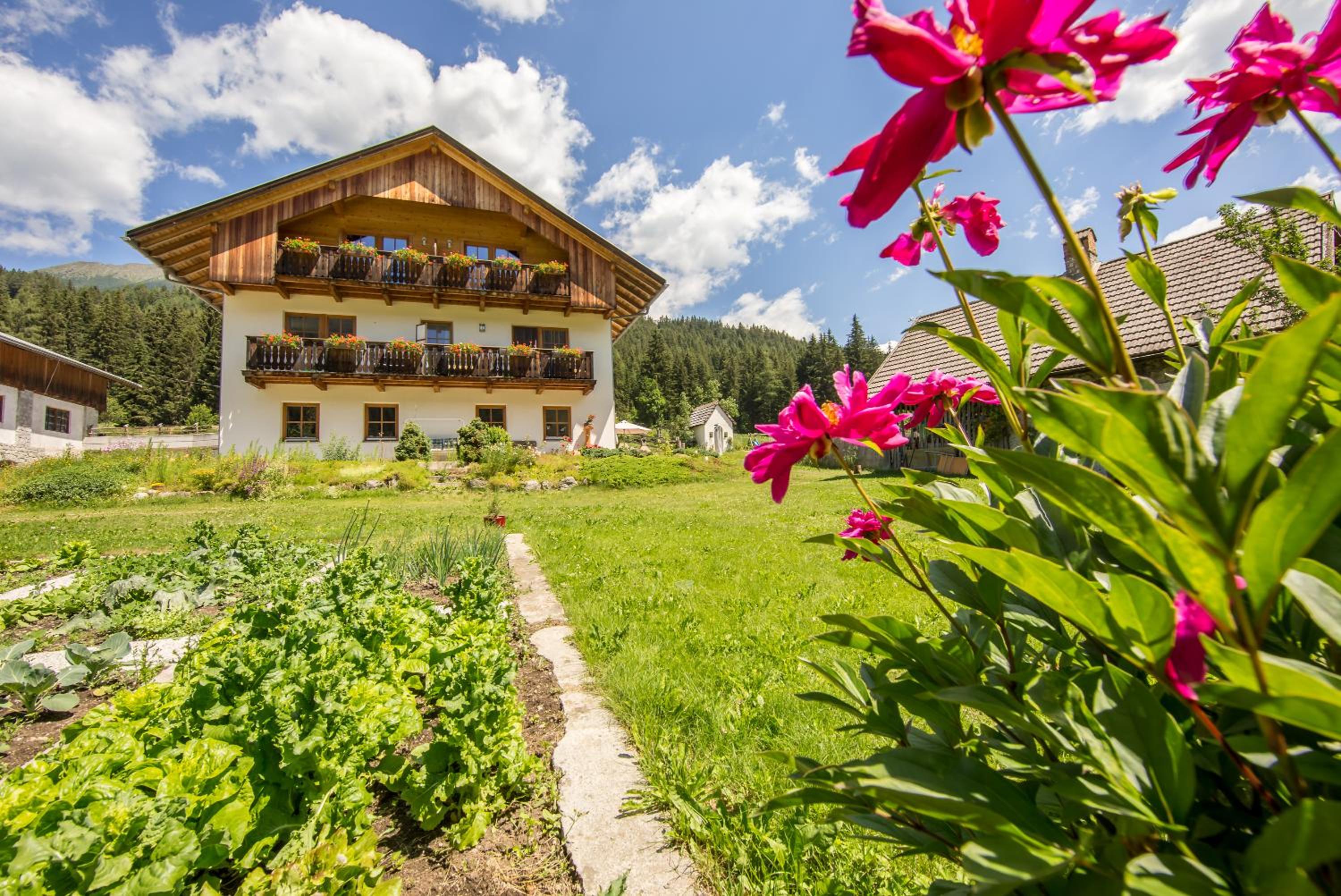 Mahrhof zu Adlitzhausen view 3