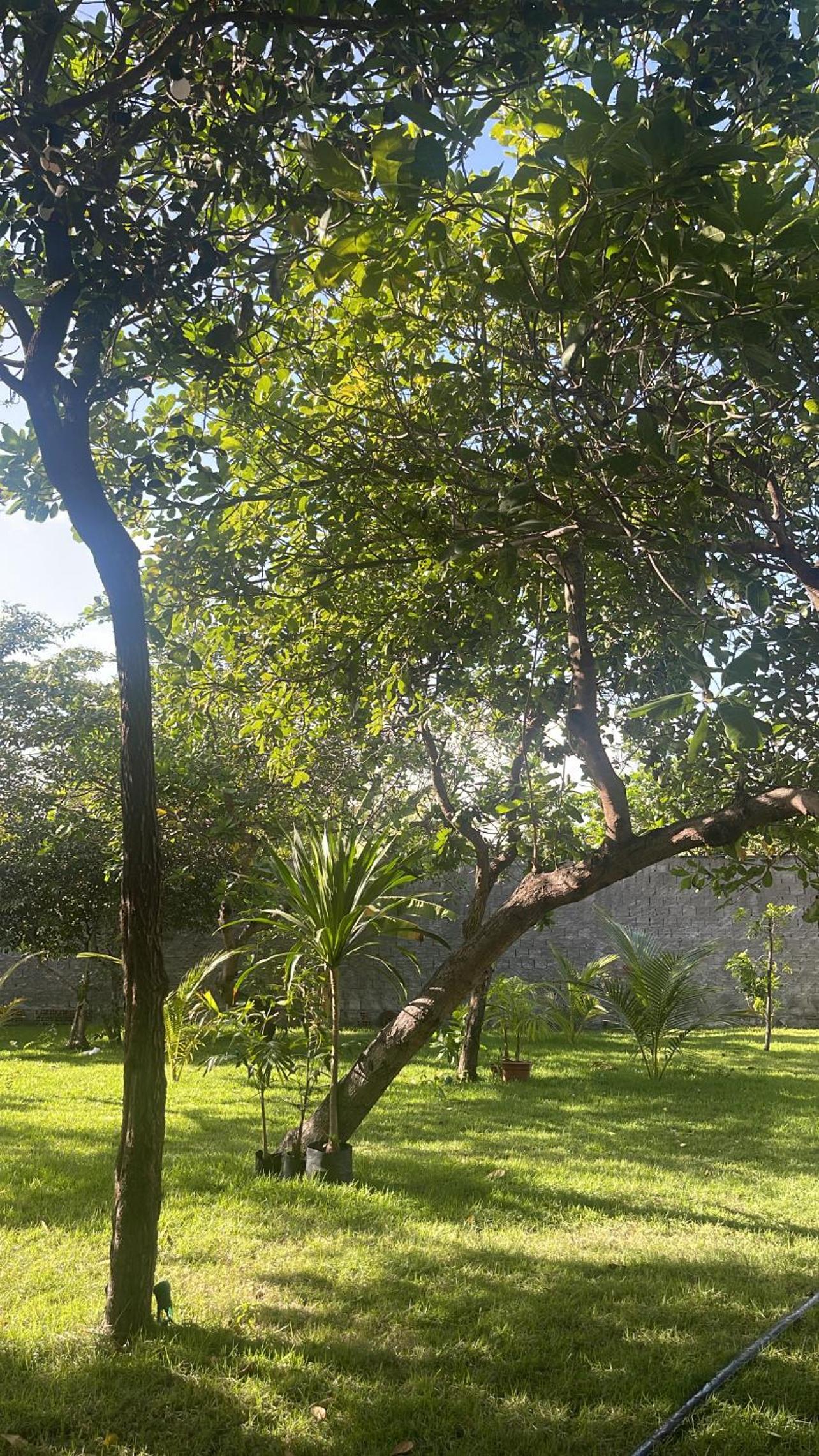 Vila Jatobá Lençóis