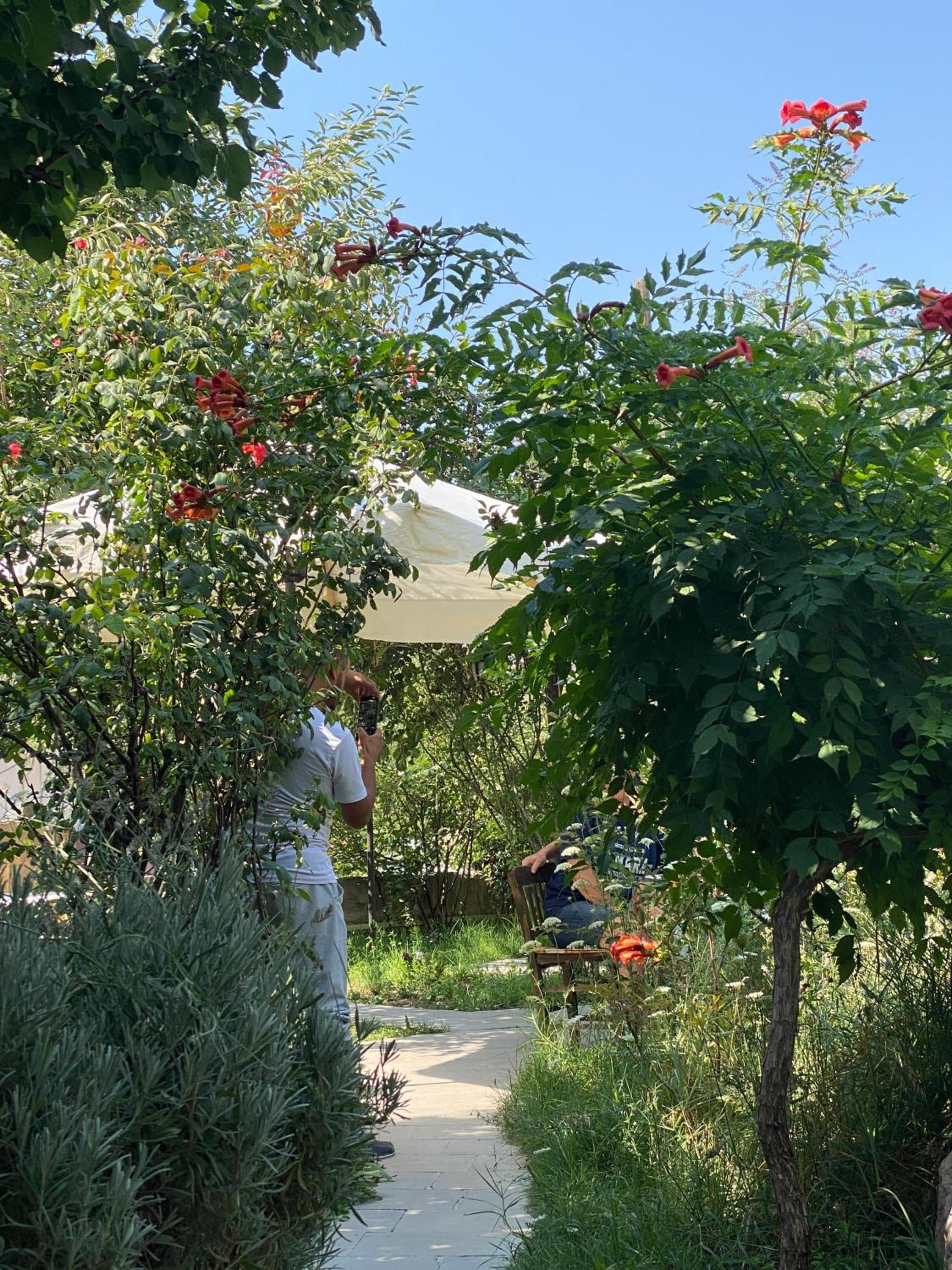 Kemal's Guest House - Image 54