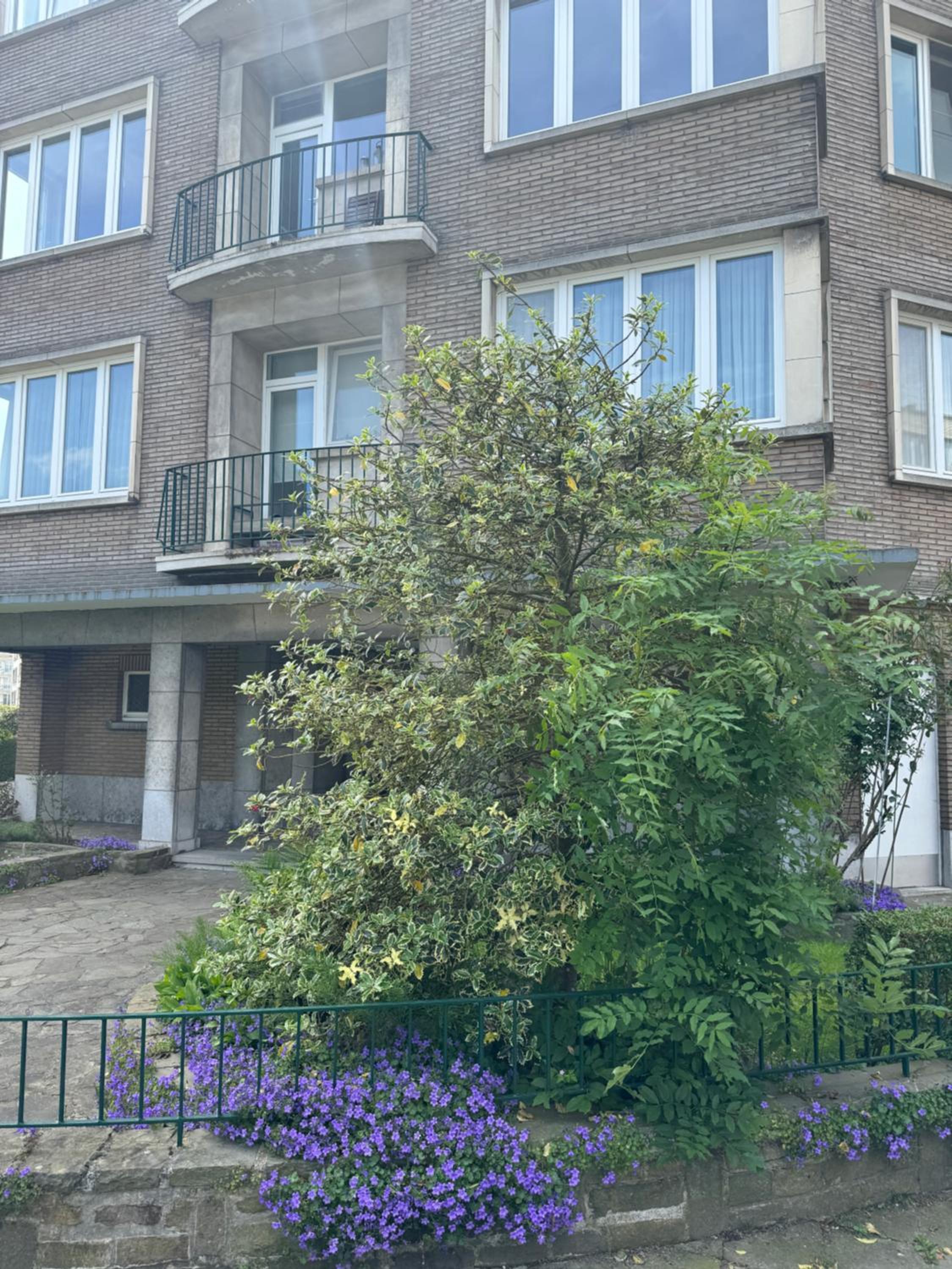 Appartement Ixelles 2 chambres, 3 lits