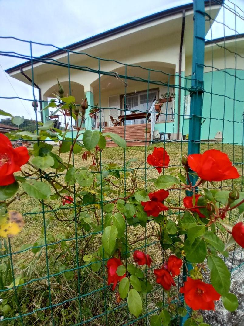 Archi Di Sole view 2