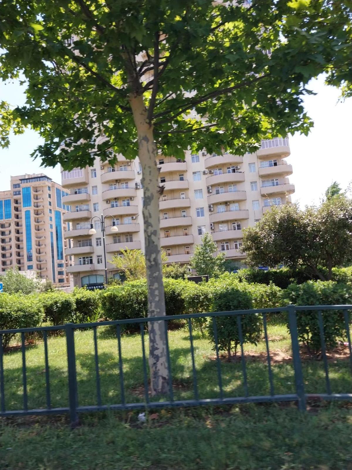 Mənzil kirayə