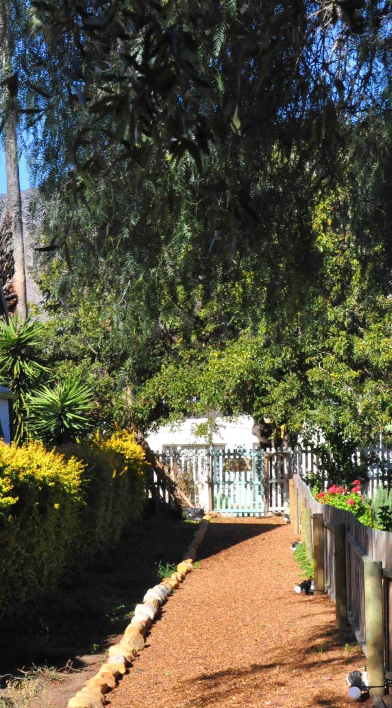 The Granadilla
