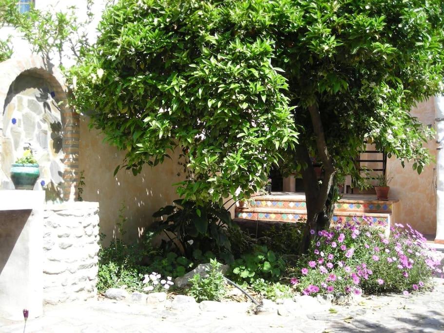 Casa El Garzopo ,especial,acogedora y confortable