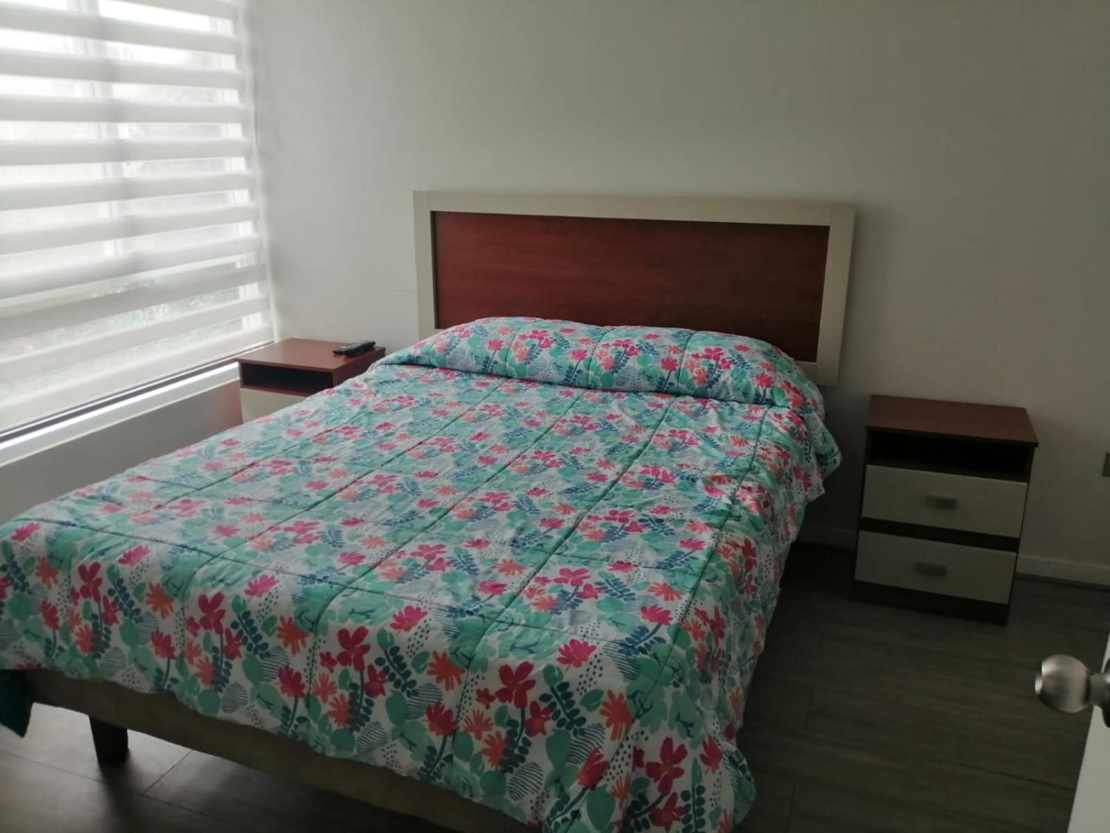 DEPARTAMENTO EL OASIS view 4