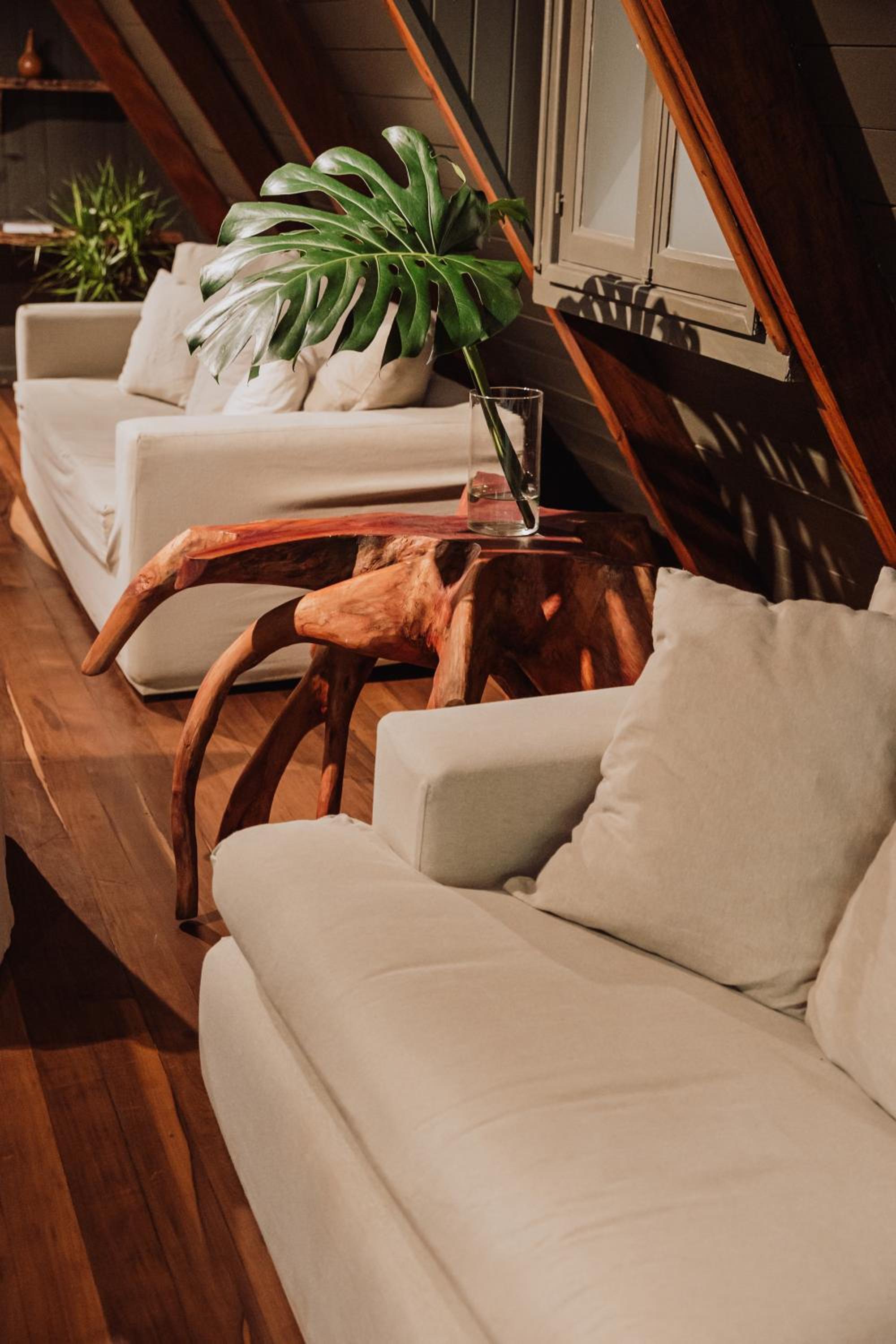 Overo Lodge & Selva