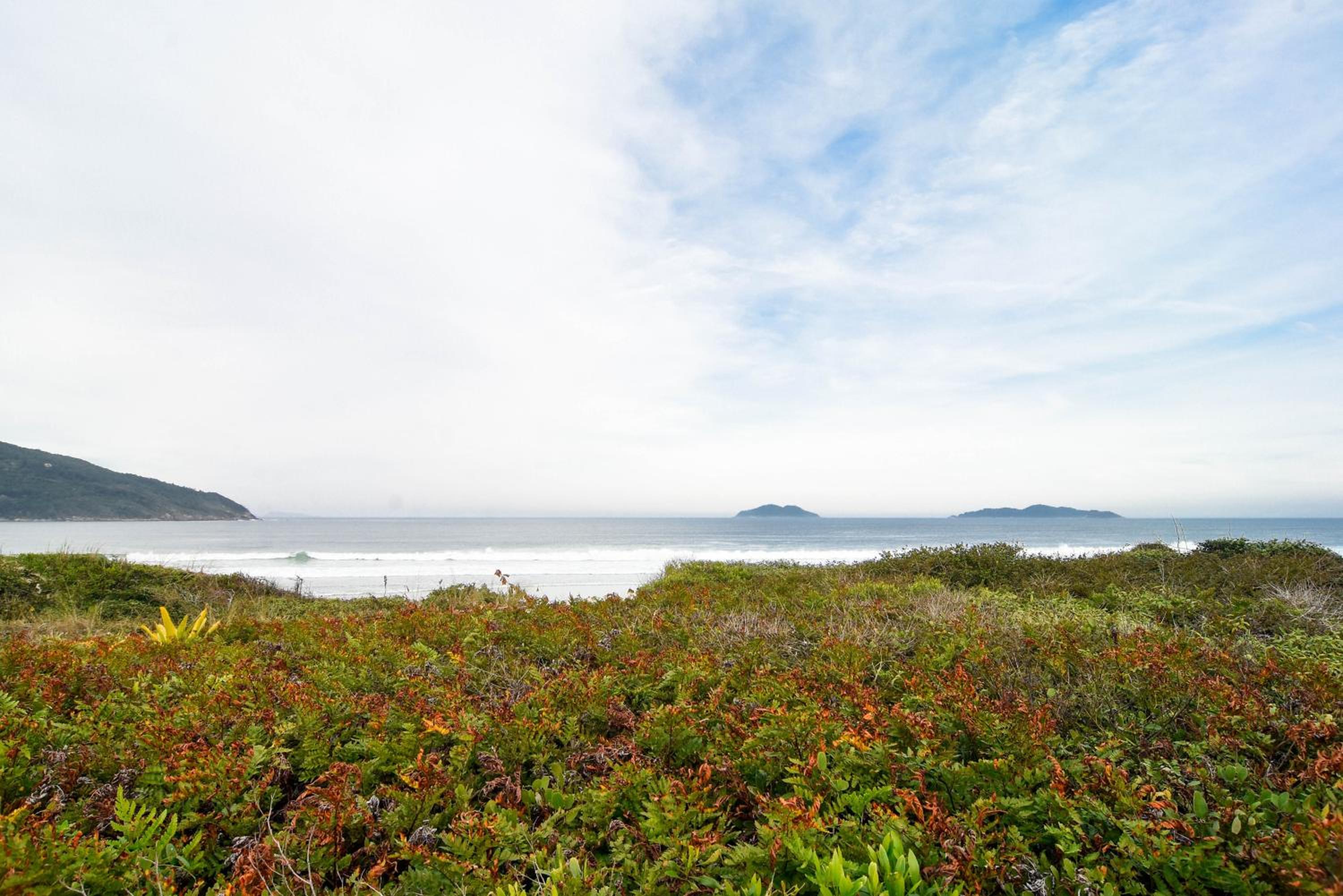100 metros da Praia dos Açores P814