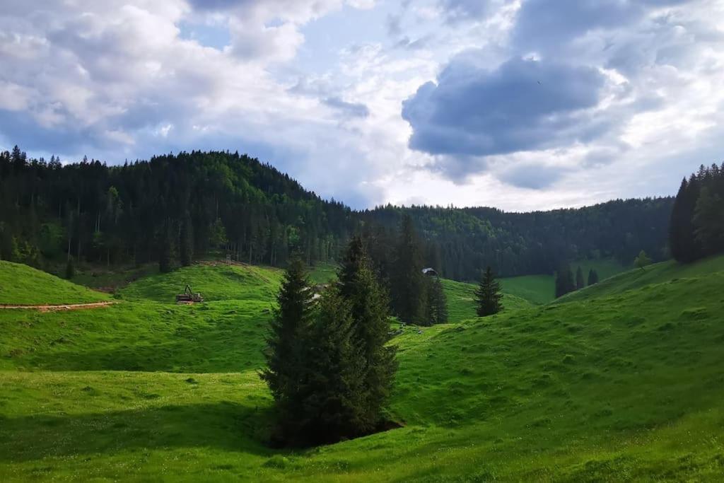 Apartma Matevž