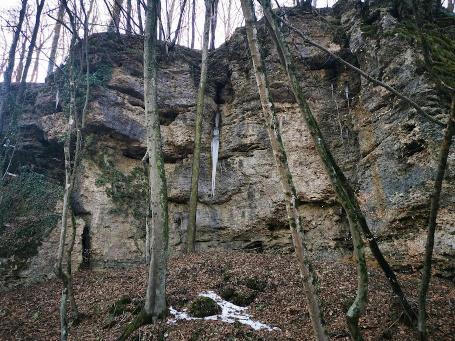 Apartma Matevž
