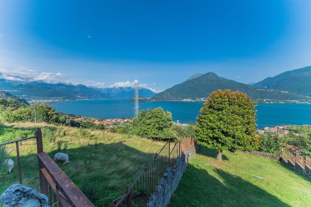 other