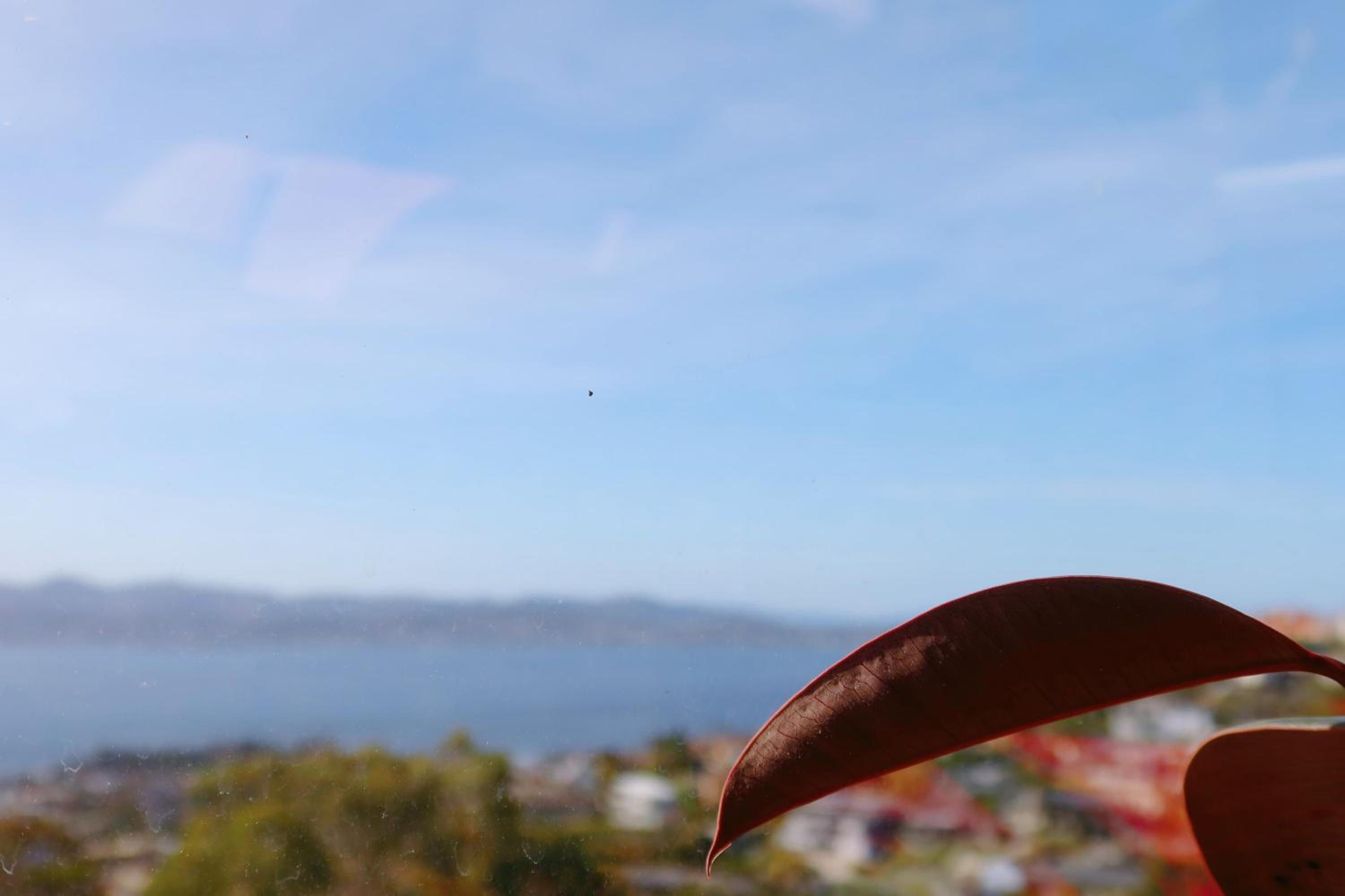 Oceanview Oasis - Close to CBD and Airport