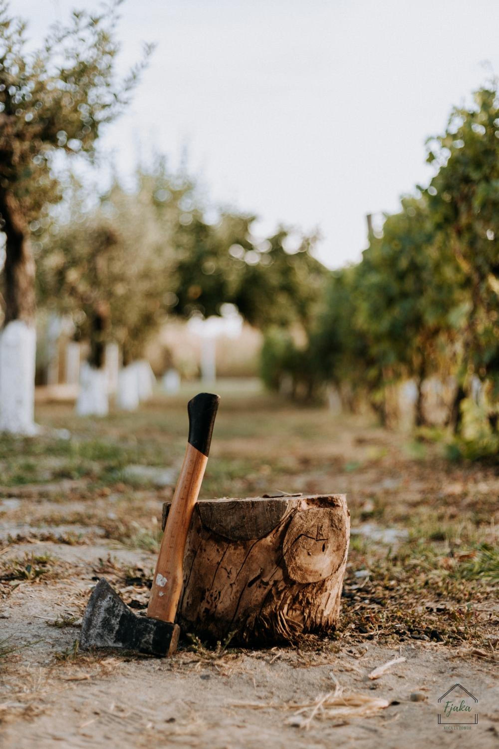 Kuća za odmor Fjaka