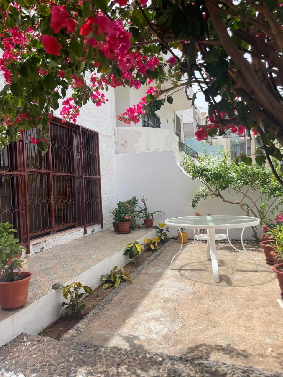 Casa Estrela - Sea & Art Guesthouse
